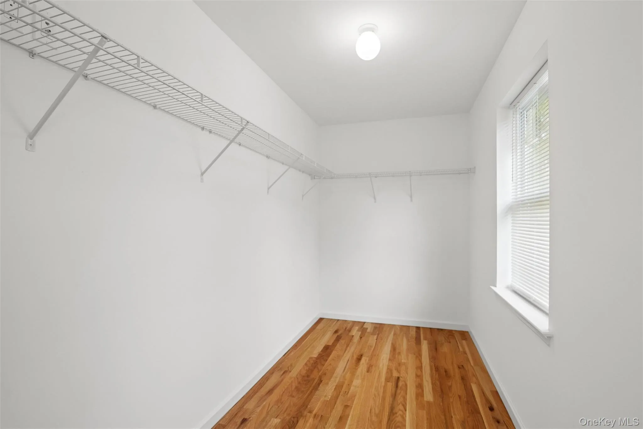 65 Ozark Street, Brookhaven, NY, 4 Bedrooms Bedrooms, 7 Rooms Rooms,2 BathroomsBathrooms,Residential,For Rent,Ozark,0,1025189 65 Ozark Street, Brookhaven, NY, 4 Bedrooms Bedrooms, 7 Rooms Rooms,2 BathroomsBathrooms,Residential,For Rent,Ozark,0,1025189