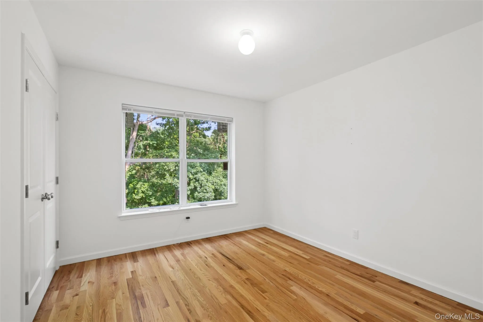 65 Ozark Street, Brookhaven, NY, 4 Bedrooms Bedrooms, 7 Rooms Rooms,2 BathroomsBathrooms,Residential,For Rent,Ozark,0,1025189 65 Ozark Street, Brookhaven, NY, 4 Bedrooms Bedrooms, 7 Rooms Rooms,2 BathroomsBathrooms,Residential,For Rent,Ozark,0,1025189