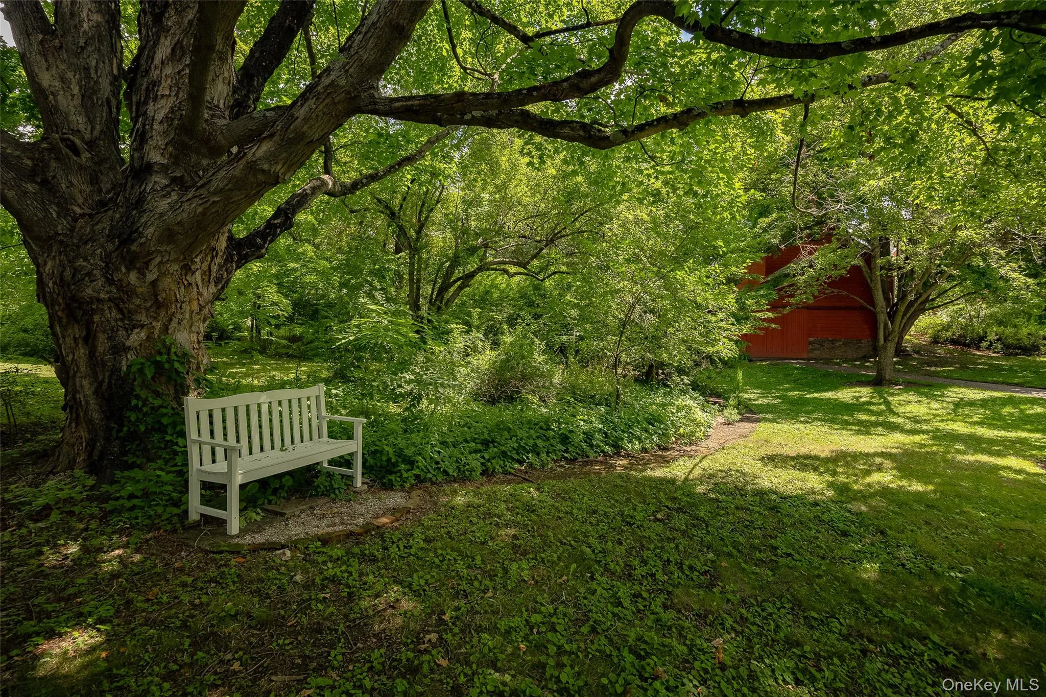 Bench in garden Bench in garden