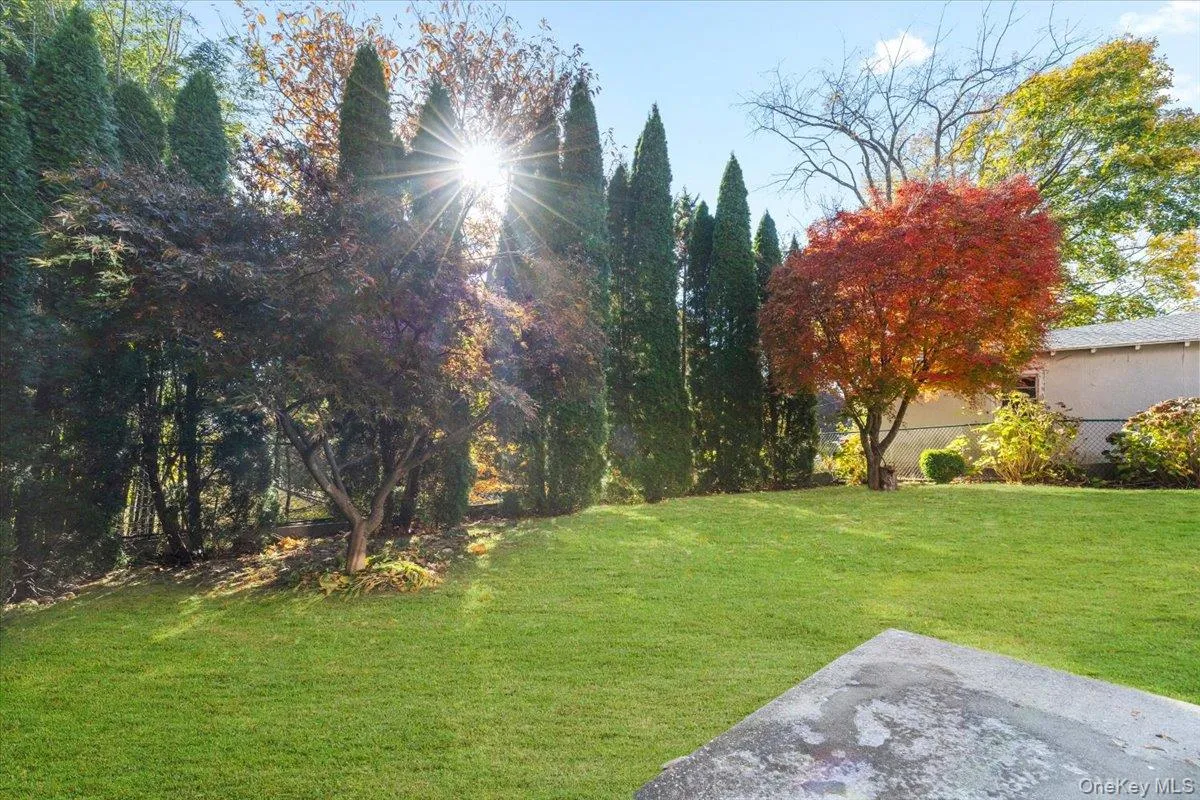 Back yard is shared between both tenants. Back yard is shared between both tenants.