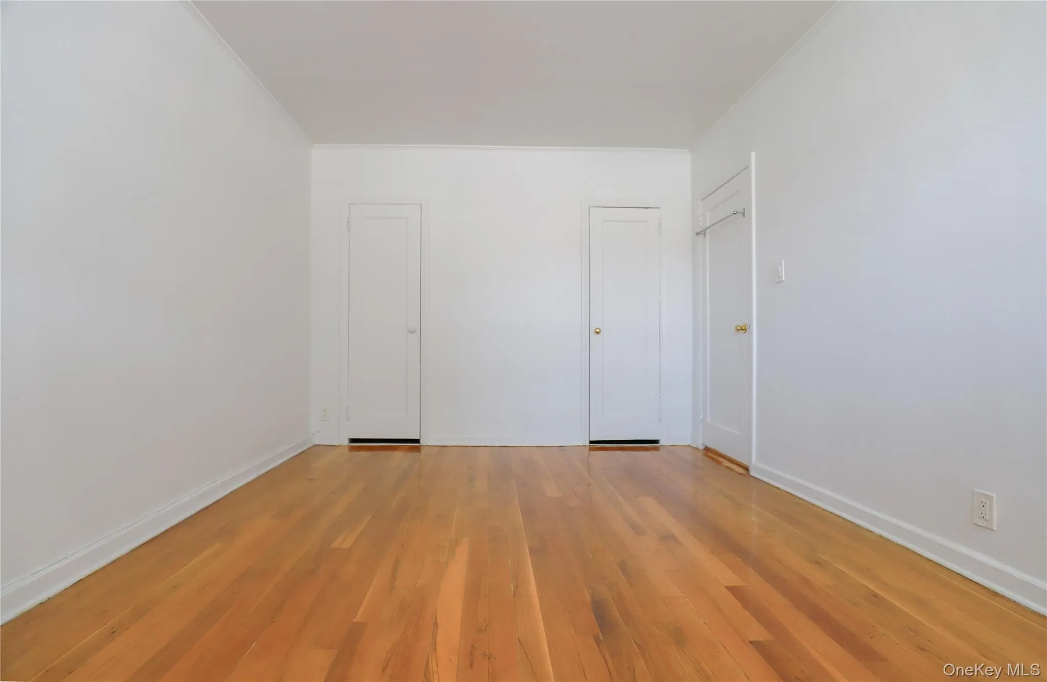 Bright and spacious primary bedroom with hardwood floors, generous natural light, and built-in closets Bright and spacious primary bedroom with hardwood floors, generous natural light, and built-in closets