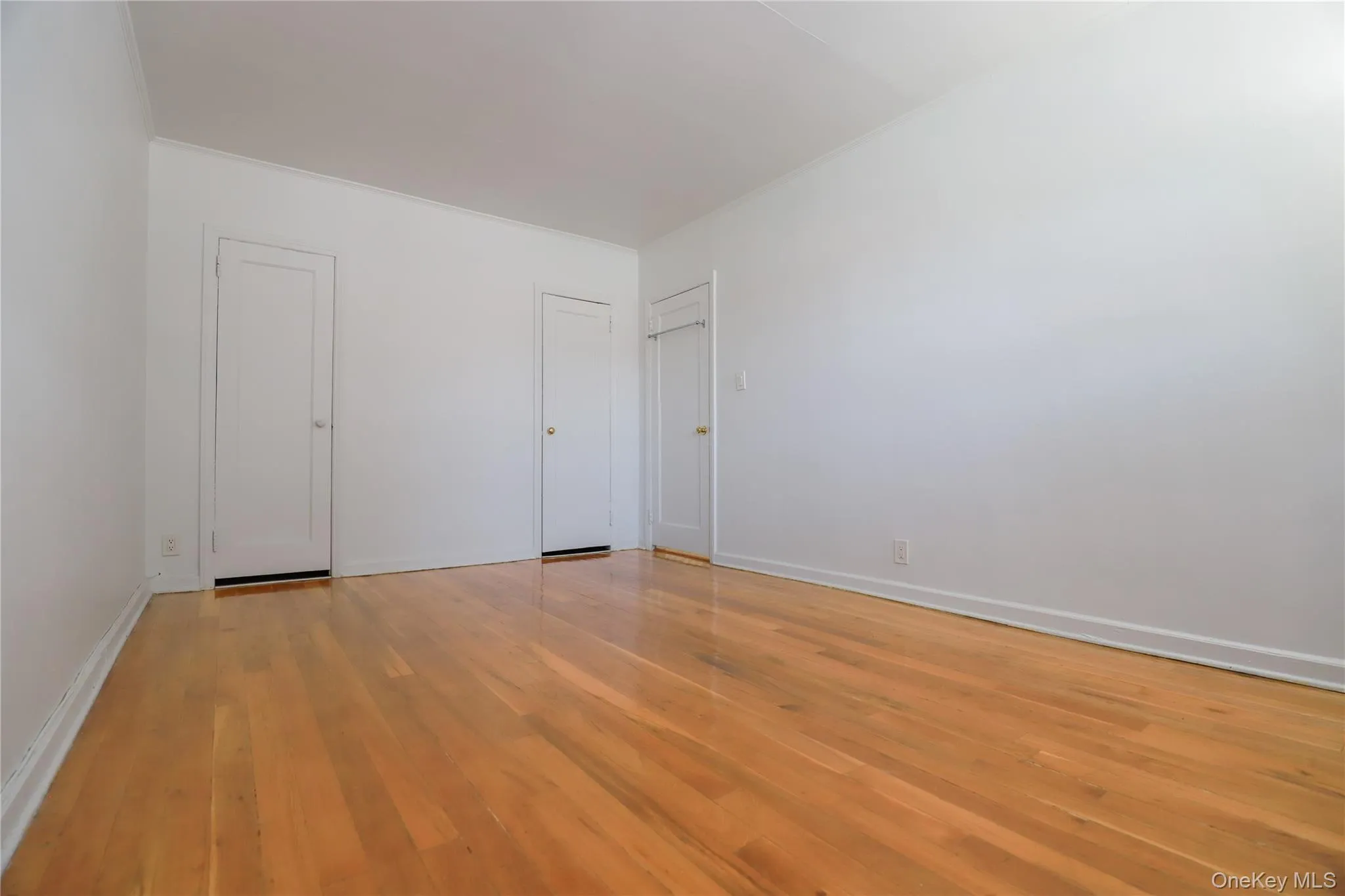 Bright and spacious primary bedroom with hardwood floors, generous natural light, and built-in closets Bright and spacious primary bedroom with hardwood floors, generous natural light, and built-in closets