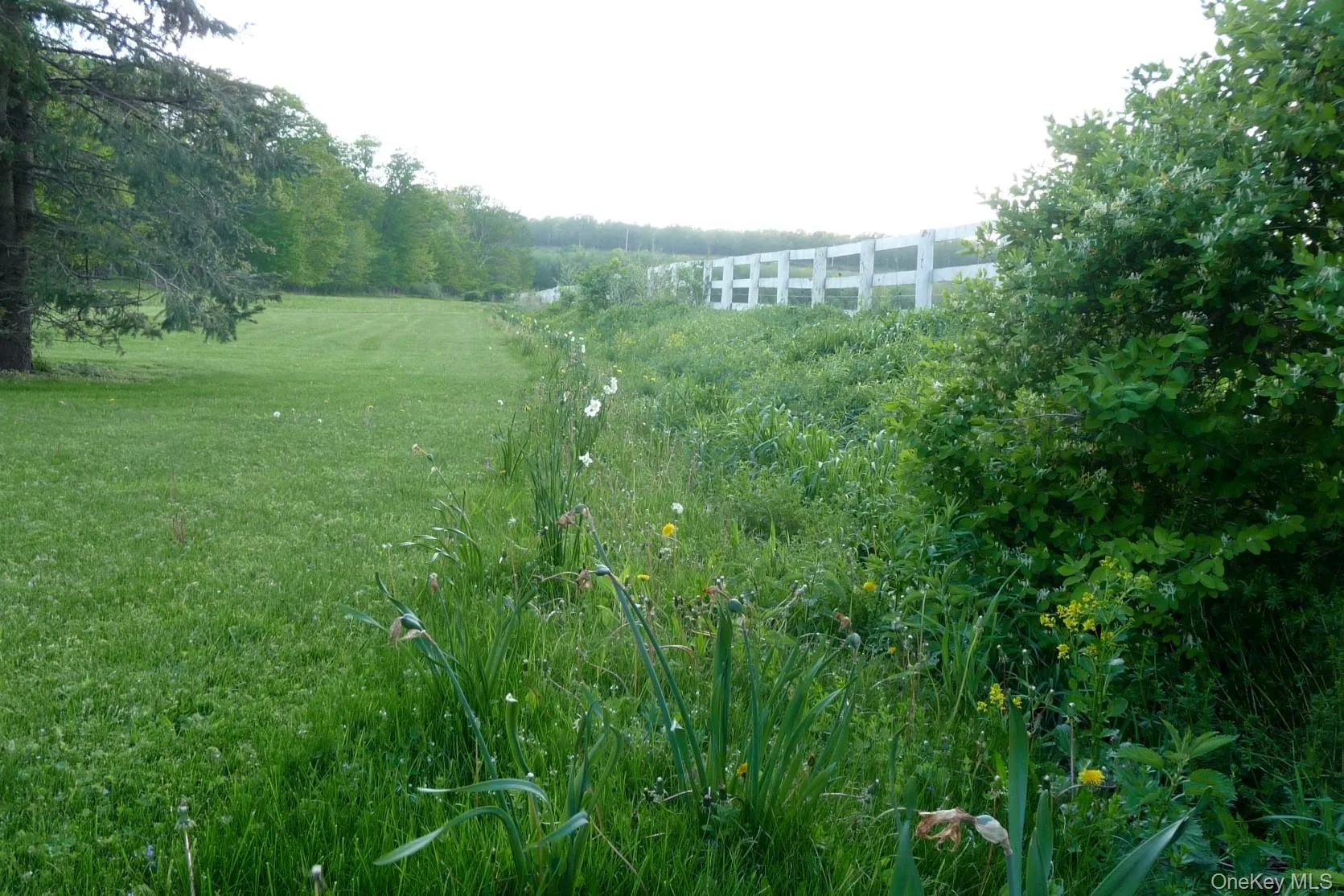 Perennial border Perennial border