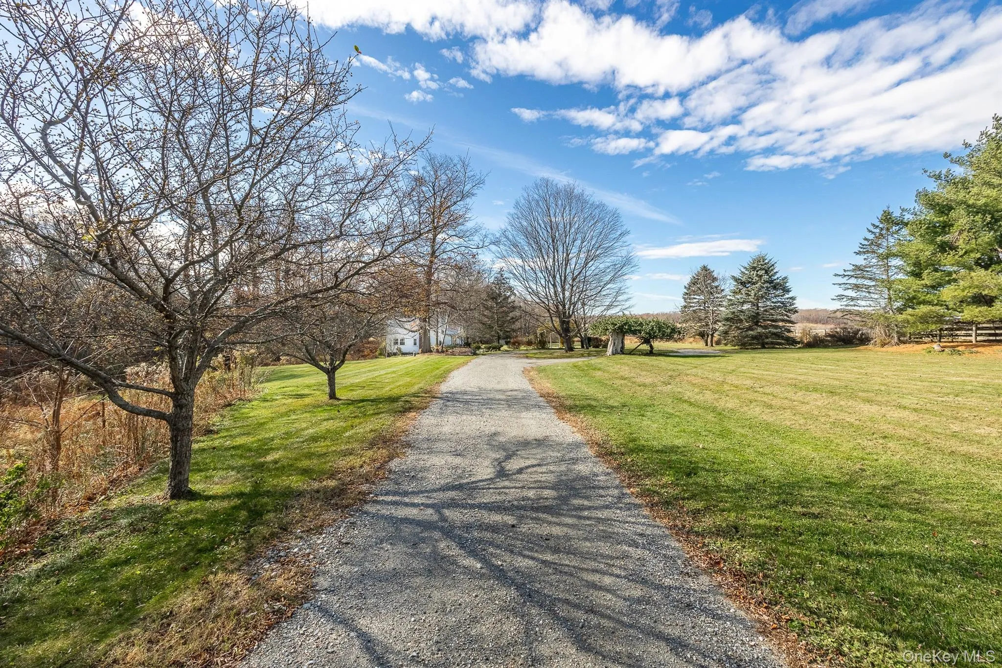Long Driveway Long Driveway