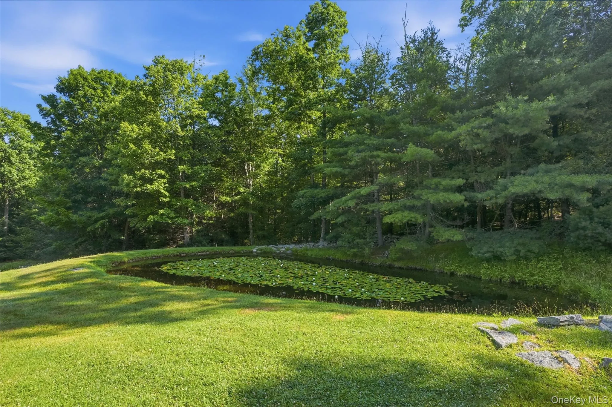 905 Pine Kill Road, Mamakating, NY, 2 Bedrooms Bedrooms, 8 Rooms Rooms,2 BathroomsBathrooms,Residential,For Rent,Pine Kill,0,1025235 905 Pine Kill Road, Mamakating, NY, 2 Bedrooms Bedrooms, 8 Rooms Rooms,2 BathroomsBathrooms,Residential,For Rent,Pine Kill,0,1025235
