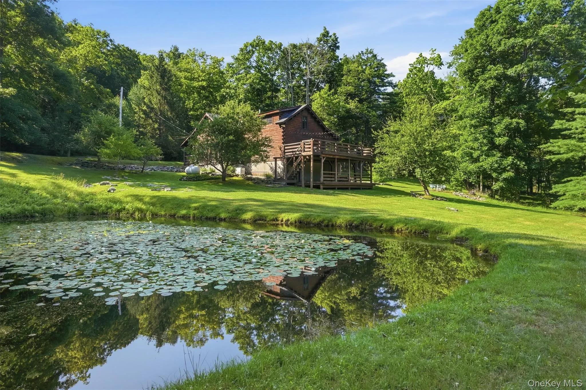 Lily pads and frogs call this beautiful pond home Lily pads and frogs call this beautiful pond home