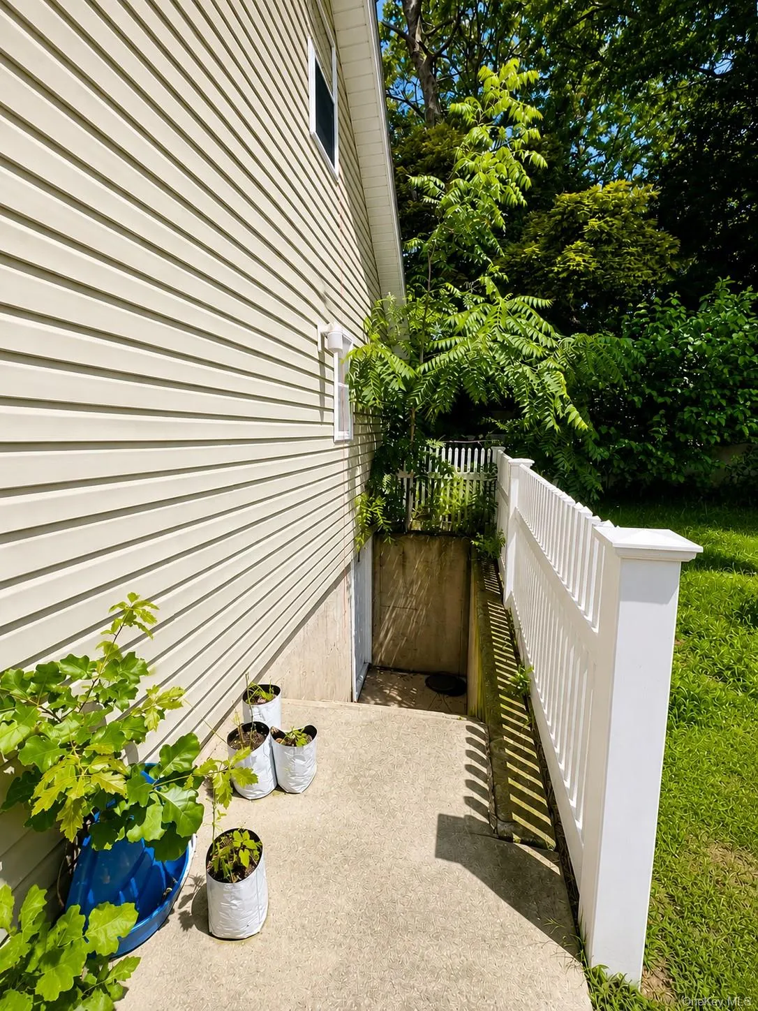 Outside entrance to the basement Outside entrance to the basement