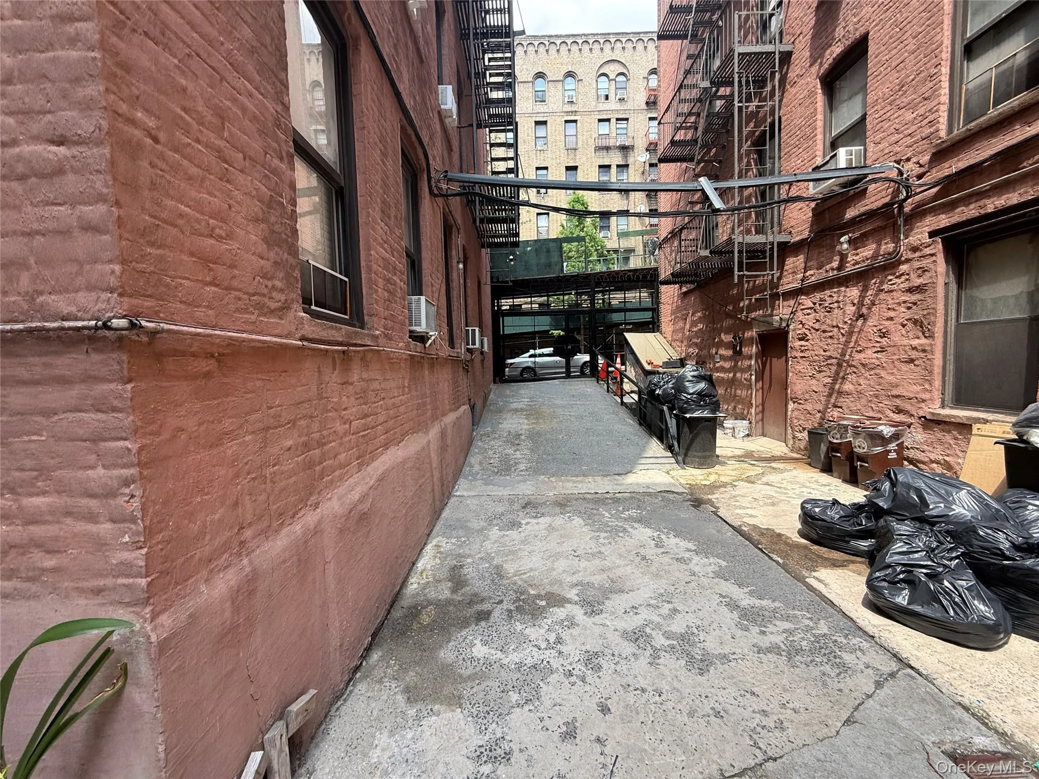 828 Gerard, New York, NY, 1 Bedroom Bedrooms, 3 Rooms Rooms,1 BathroomBathrooms,Residential,For Rent,Gerard,0,1025263 828 Gerard, New York, NY, 1 Bedroom Bedrooms, 3 Rooms Rooms,1 BathroomBathrooms,Residential,For Rent,Gerard,0,1025263