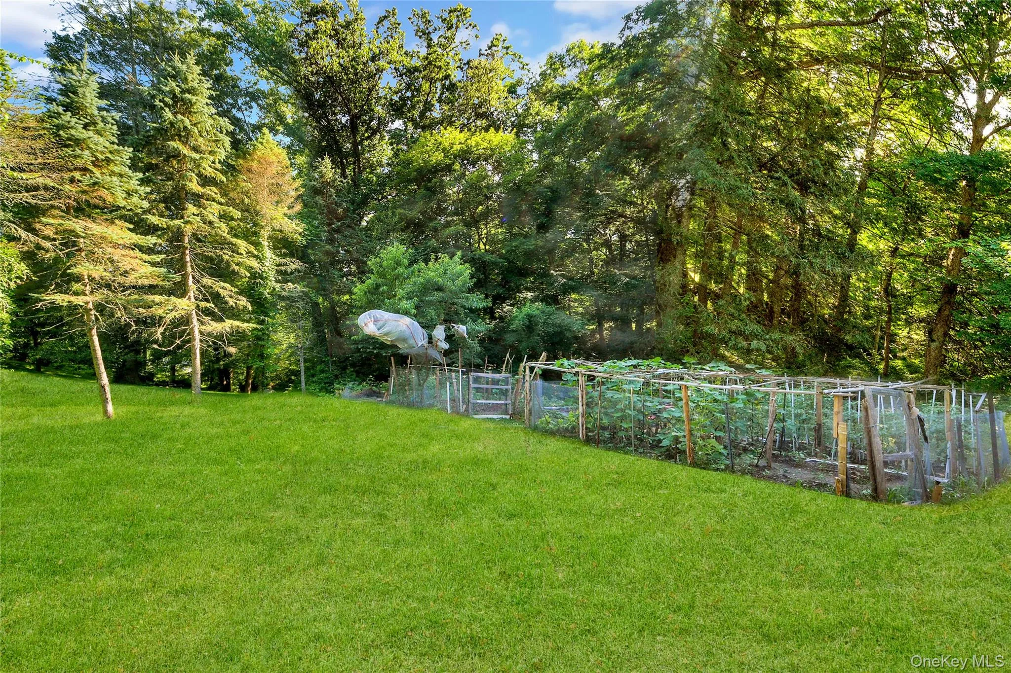 435 Birdsall Drive, Yorktown, NY, 2 Bedrooms Bedrooms, 6 Rooms Rooms,2 BathroomsBathrooms,Residential,For Rent,Birdsall,0,1025268 435 Birdsall Drive, Yorktown, NY, 2 Bedrooms Bedrooms, 6 Rooms Rooms,2 BathroomsBathrooms,Residential,For Rent,Birdsall,0,1025268