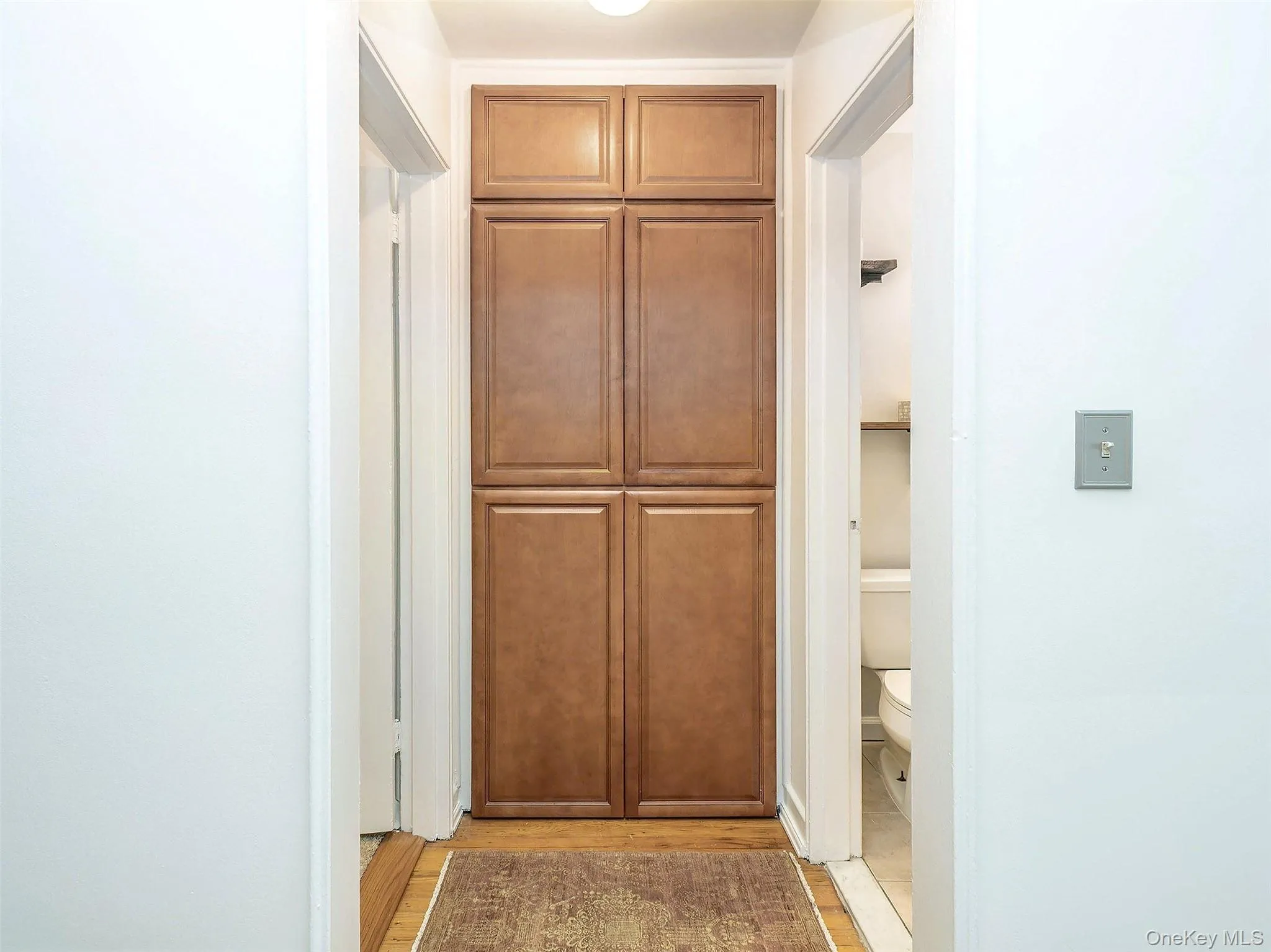 Hallway closet for linens Hallway closet for linens