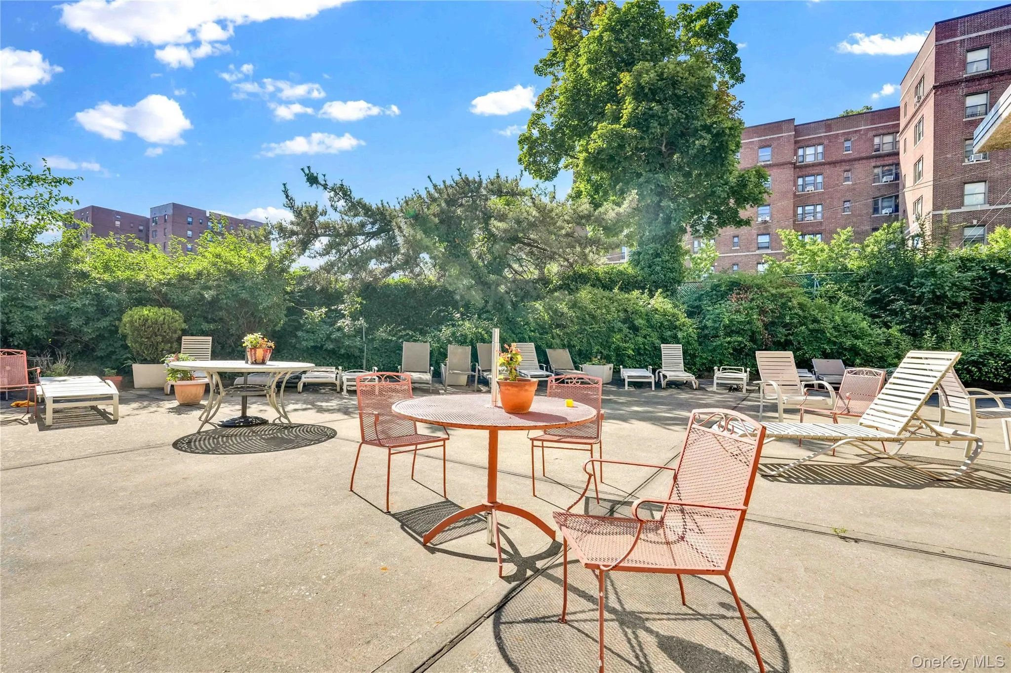 175-20 Wexford Terrace, New York, NY, 1 Room Rooms,1 BathroomBathrooms,Residential,For Rent,Wexford Terrace,0,1025289 175-20 Wexford Terrace, New York, NY, 1 Room Rooms,1 BathroomBathrooms,Residential,For Rent,Wexford Terrace,0,1025289