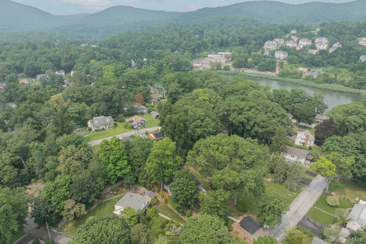 Catch and release bass Catch and release bass