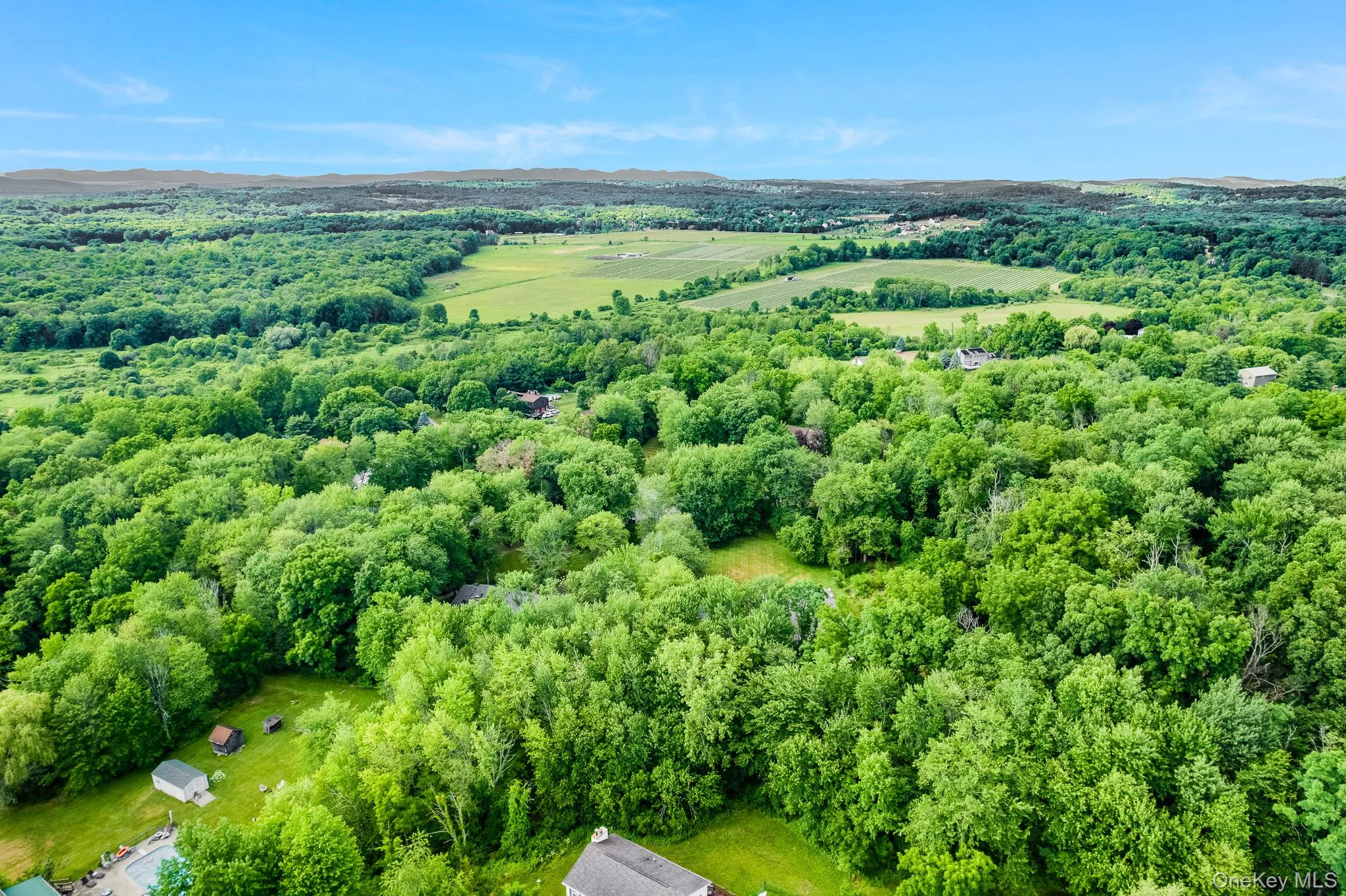 Expansive wooded landscape with distant open fields and a clear blue sky Expansive wooded landscape with distant open fields and a clear blue sky