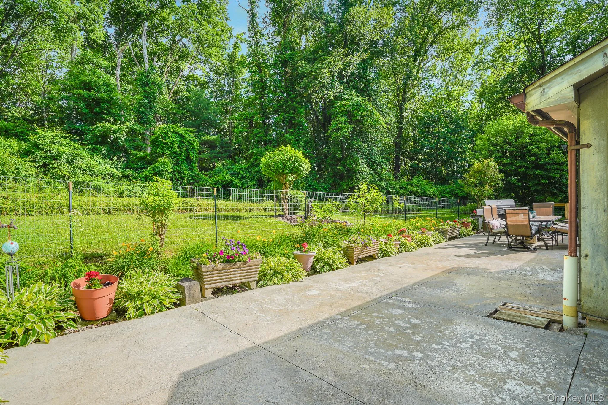 Expansive concrete patio with a border of planted garden beds Expansive concrete patio with a border of planted garden beds