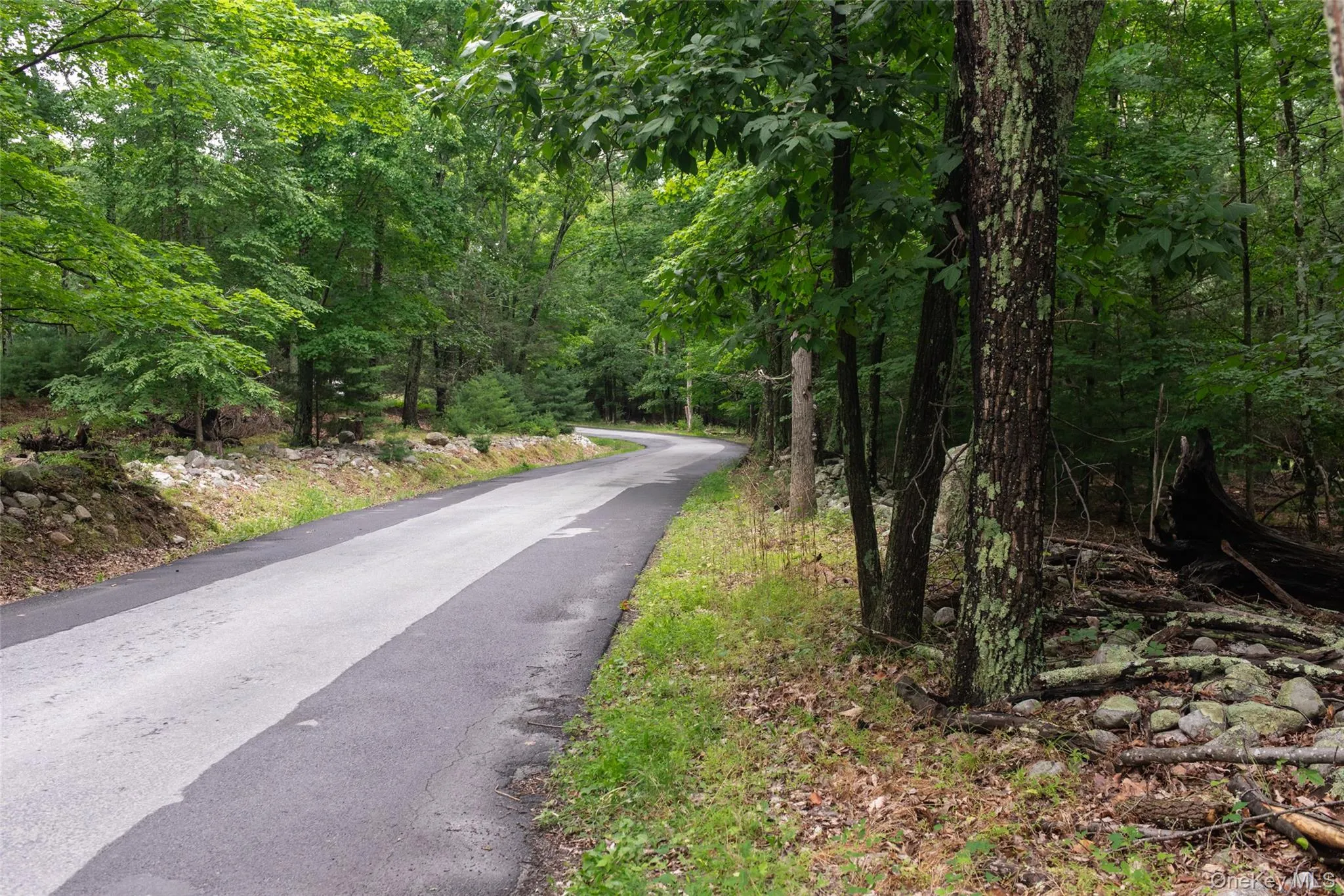 Additional road frontage on Wilkins Drive. Additional road frontage on Wilkins Drive.