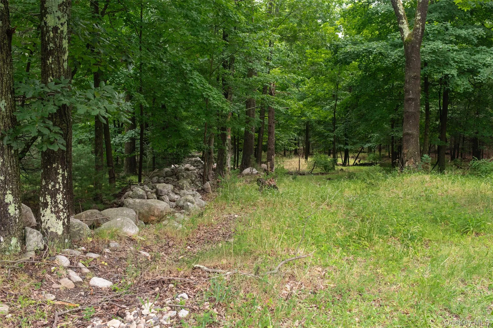 3789 State Route 52, Shawangunk, NY, 3 Bedrooms Bedrooms, 7 Rooms Rooms,1 BathroomBathrooms,Residential,For Rent,State Route 52,0,1025346 3789 State Route 52, Shawangunk, NY, 3 Bedrooms Bedrooms, 7 Rooms Rooms,1 BathroomBathrooms,Residential,For Rent,State Route 52,0,1025346