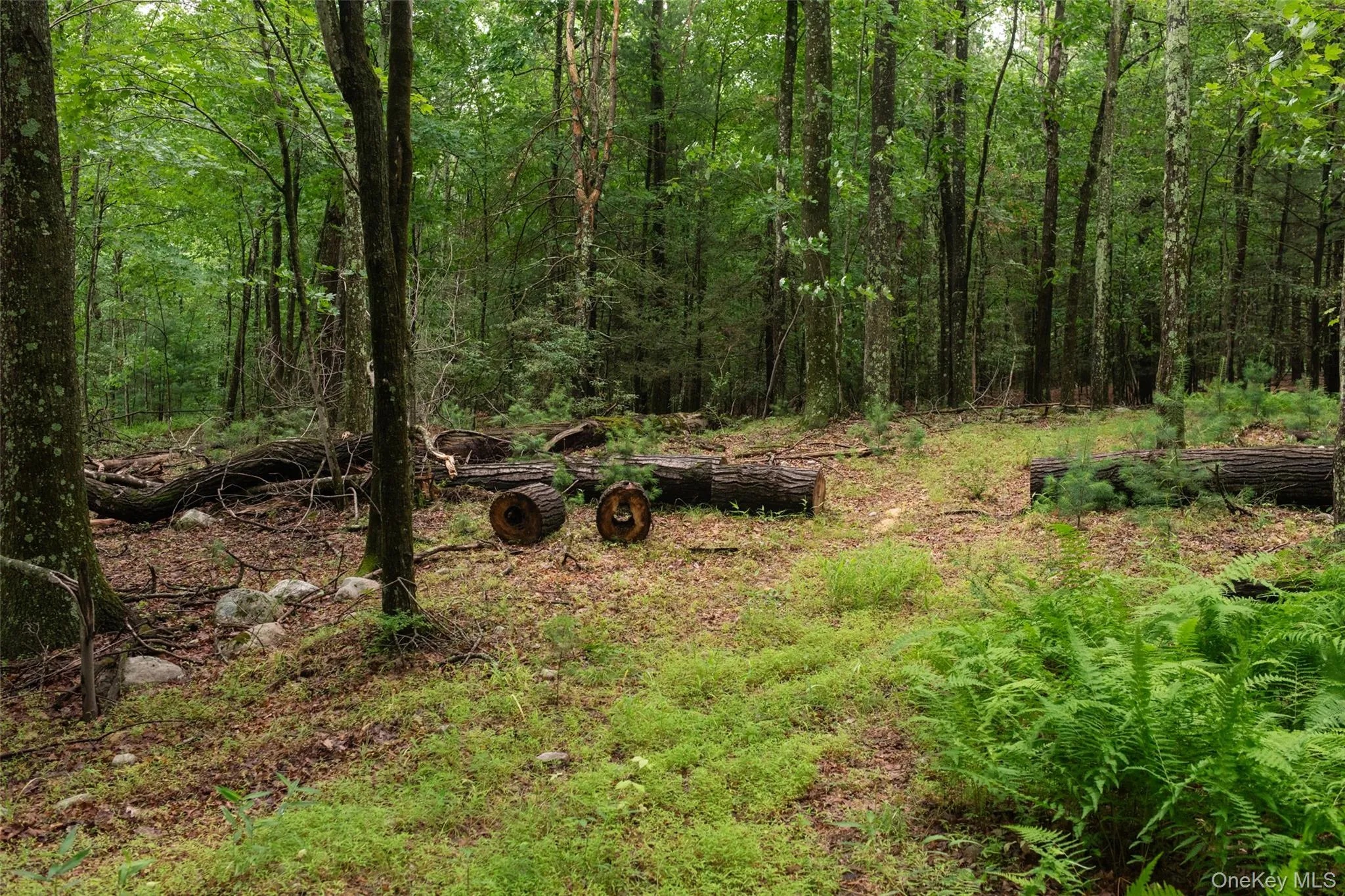 3789 State Route 52, Shawangunk, NY, 3 Bedrooms Bedrooms, 7 Rooms Rooms,1 BathroomBathrooms,Residential,For Rent,State Route 52,0,1025346 3789 State Route 52, Shawangunk, NY, 3 Bedrooms Bedrooms, 7 Rooms Rooms,1 BathroomBathrooms,Residential,For Rent,State Route 52,0,1025346
