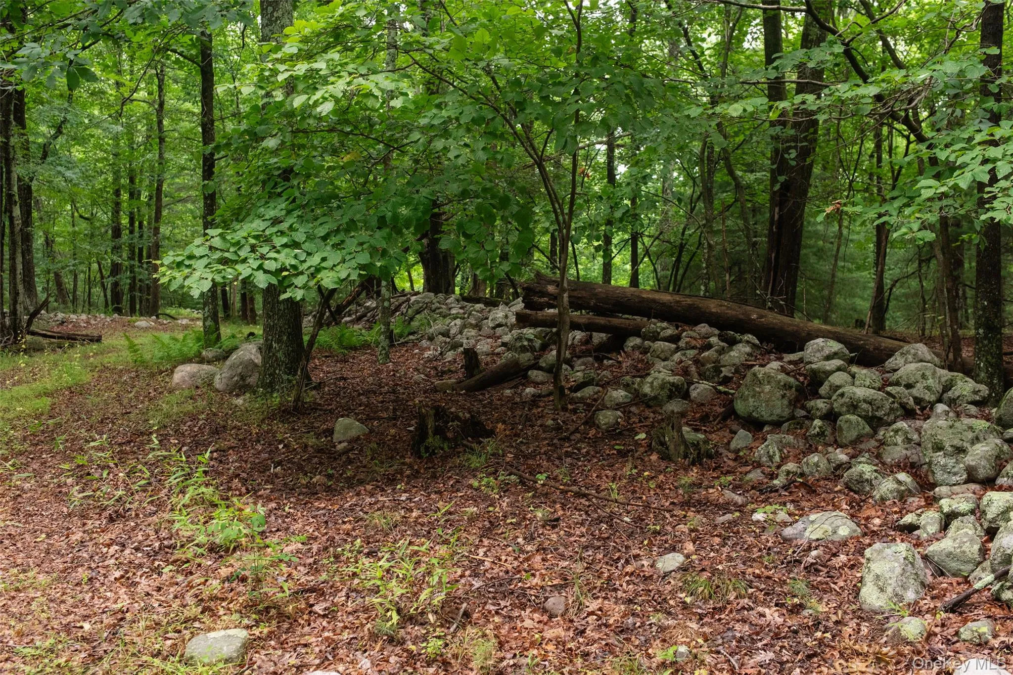 3789 State Route 52, Shawangunk, NY, 3 Bedrooms Bedrooms, 7 Rooms Rooms,1 BathroomBathrooms,Residential,For Rent,State Route 52,0,1025346 3789 State Route 52, Shawangunk, NY, 3 Bedrooms Bedrooms, 7 Rooms Rooms,1 BathroomBathrooms,Residential,For Rent,State Route 52,0,1025346