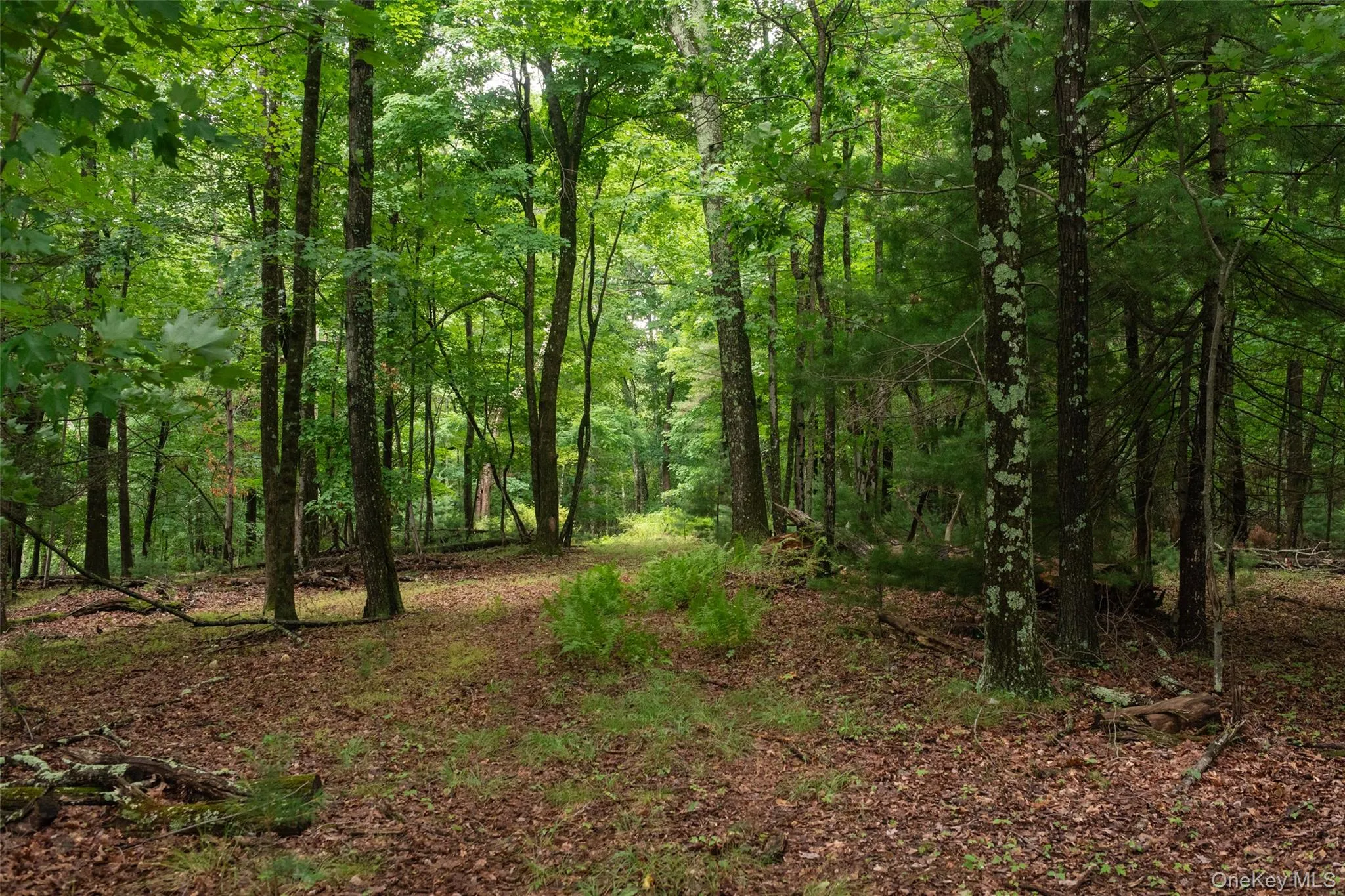 3789 State Route 52, Shawangunk, NY, 3 Bedrooms Bedrooms, 7 Rooms Rooms,1 BathroomBathrooms,Residential,For Rent,State Route 52,0,1025346 3789 State Route 52, Shawangunk, NY, 3 Bedrooms Bedrooms, 7 Rooms Rooms,1 BathroomBathrooms,Residential,For Rent,State Route 52,0,1025346