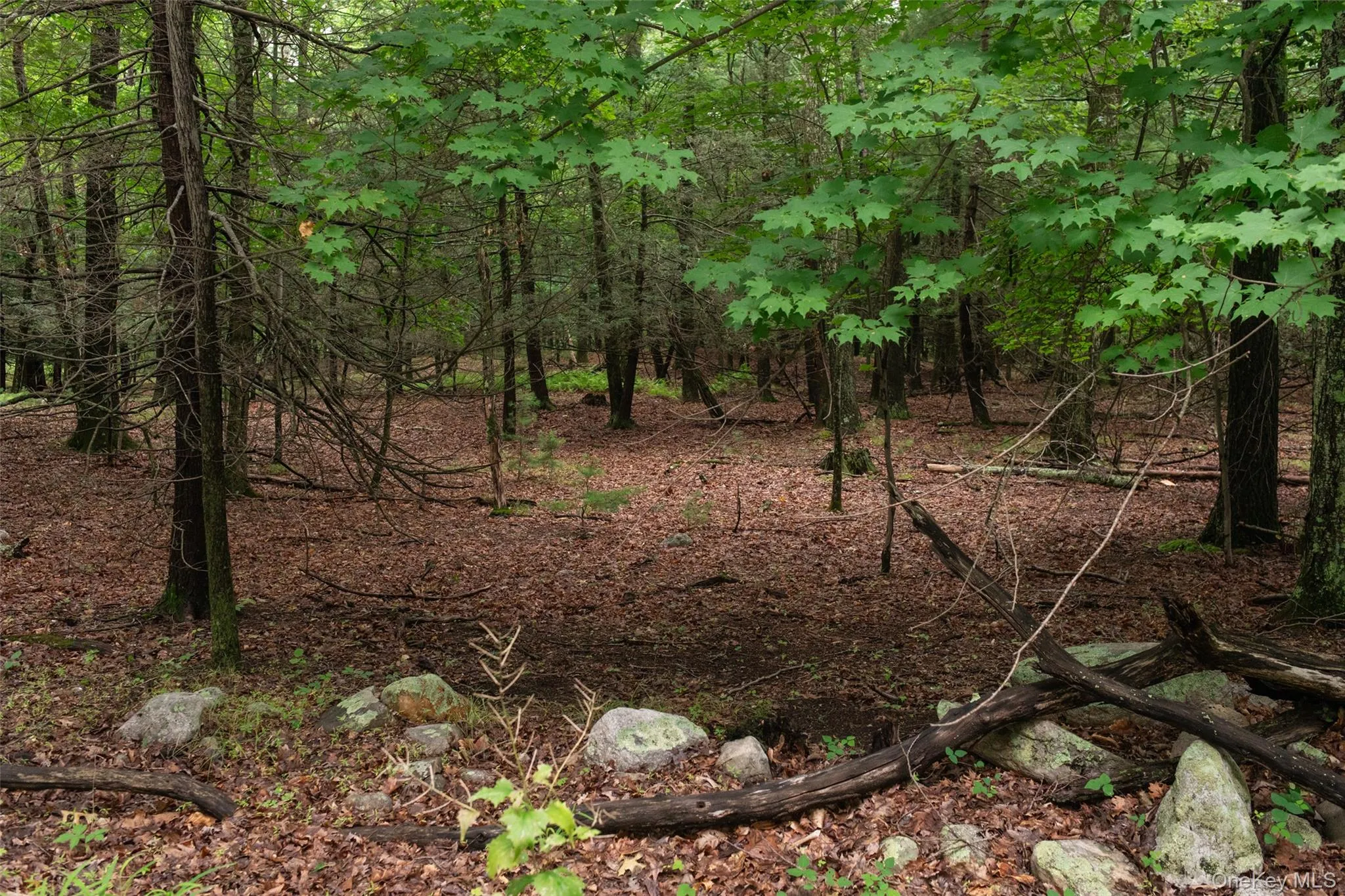3789 State Route 52, Shawangunk, NY, 3 Bedrooms Bedrooms, 7 Rooms Rooms,1 BathroomBathrooms,Residential,For Rent,State Route 52,0,1025346 3789 State Route 52, Shawangunk, NY, 3 Bedrooms Bedrooms, 7 Rooms Rooms,1 BathroomBathrooms,Residential,For Rent,State Route 52,0,1025346