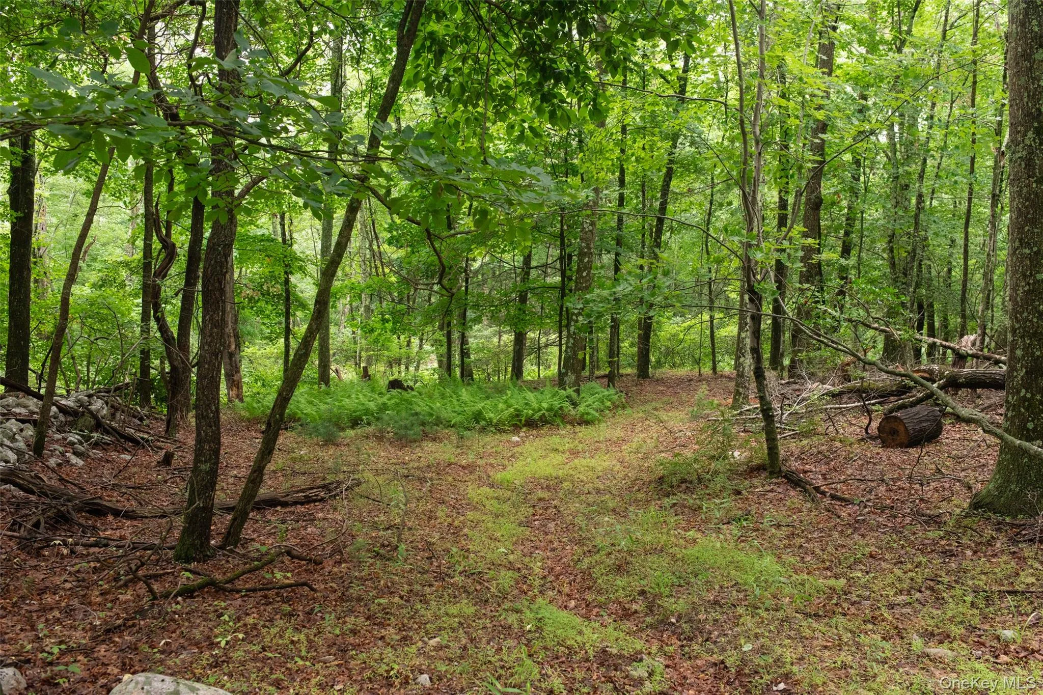 3789 State Route 52, Shawangunk, NY, 3 Bedrooms Bedrooms, 7 Rooms Rooms,1 BathroomBathrooms,Residential,For Rent,State Route 52,0,1025346 3789 State Route 52, Shawangunk, NY, 3 Bedrooms Bedrooms, 7 Rooms Rooms,1 BathroomBathrooms,Residential,For Rent,State Route 52,0,1025346