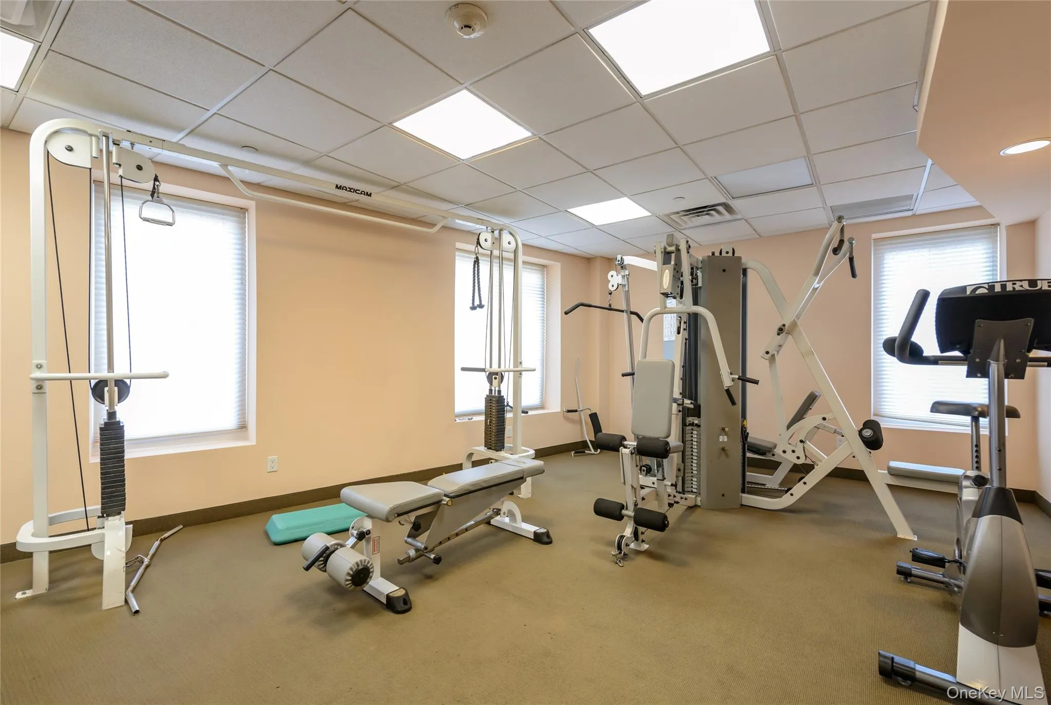 242 Maple Avenue, North Hempstead, NY, 1 Bedroom Bedrooms, 3 Rooms Rooms,1 BathroomBathrooms,Residential Lease,For Rent,Maple,0,1025349 242 Maple Avenue, North Hempstead, NY, 1 Bedroom Bedrooms, 3 Rooms Rooms,1 BathroomBathrooms,Residential Lease,For Rent,Maple,0,1025349