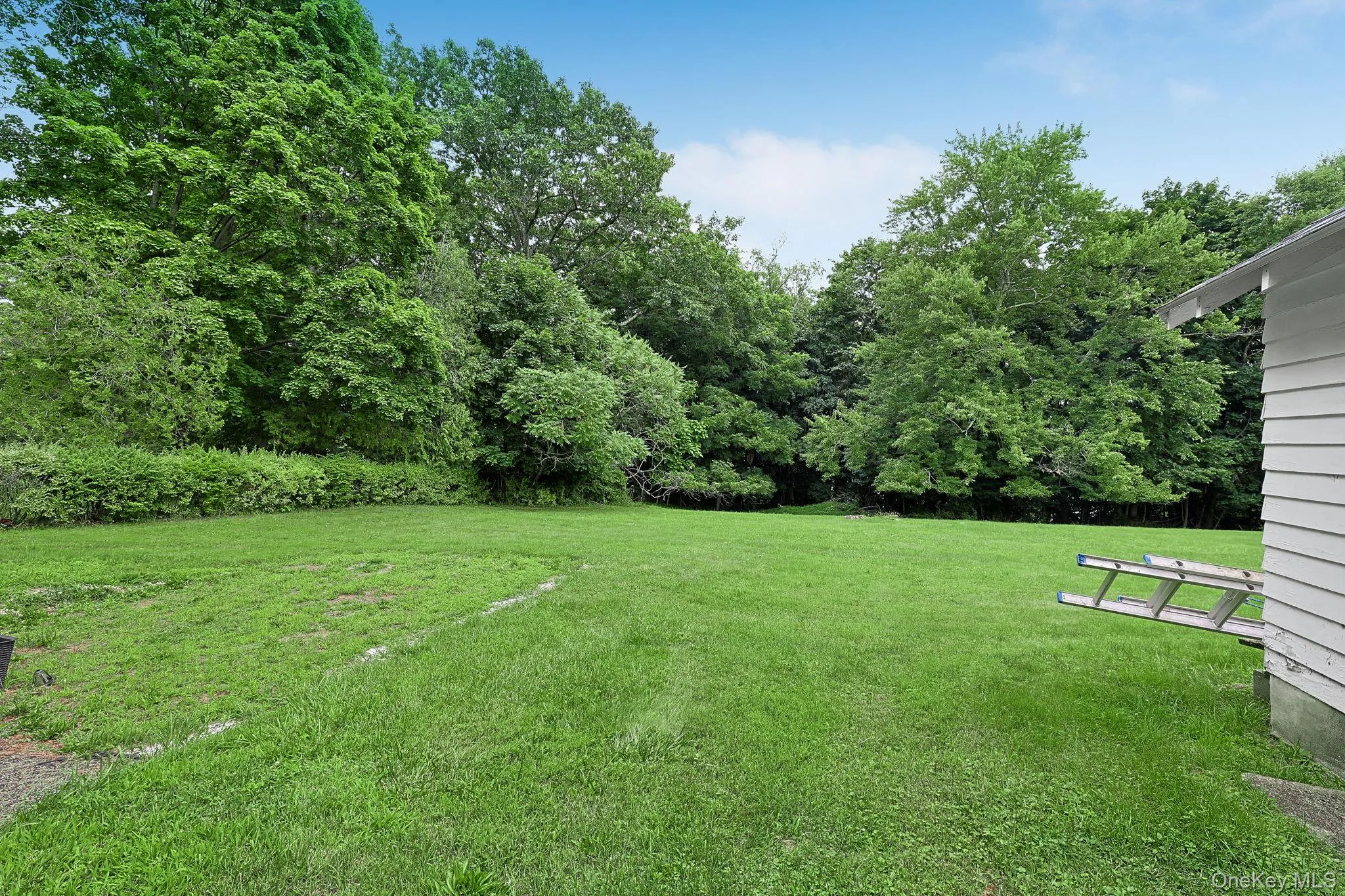 Open backyard with plenty of usable space. Open backyard with plenty of usable space.