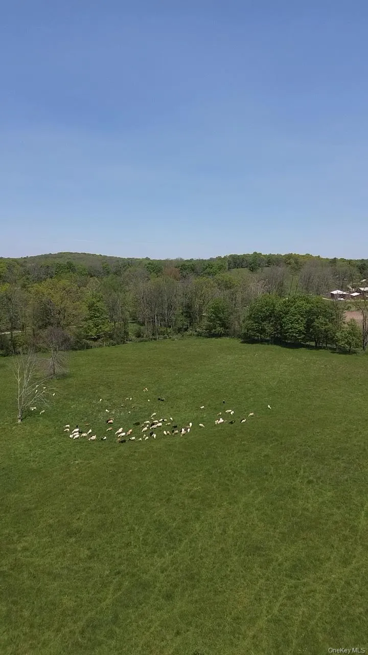 65 Juliet Drive, Warwick (town), NY, 10 Bedrooms Bedrooms, 18 Rooms Rooms,9 BathroomsBathrooms,Residential,For Rent,Juliet,0,1025375 65 Juliet Drive, Warwick (town), NY, 10 Bedrooms Bedrooms, 18 Rooms Rooms,9 BathroomsBathrooms,Residential,For Rent,Juliet,0,1025375