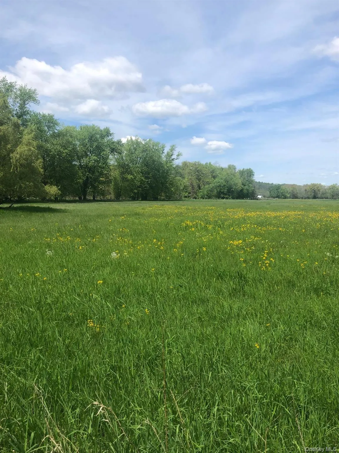 65 Juliet Drive, Warwick (town), NY, 10 Bedrooms Bedrooms, 18 Rooms Rooms,9 BathroomsBathrooms,Residential,For Rent,Juliet,0,1025375 65 Juliet Drive, Warwick (town), NY, 10 Bedrooms Bedrooms, 18 Rooms Rooms,9 BathroomsBathrooms,Residential,For Rent,Juliet,0,1025375