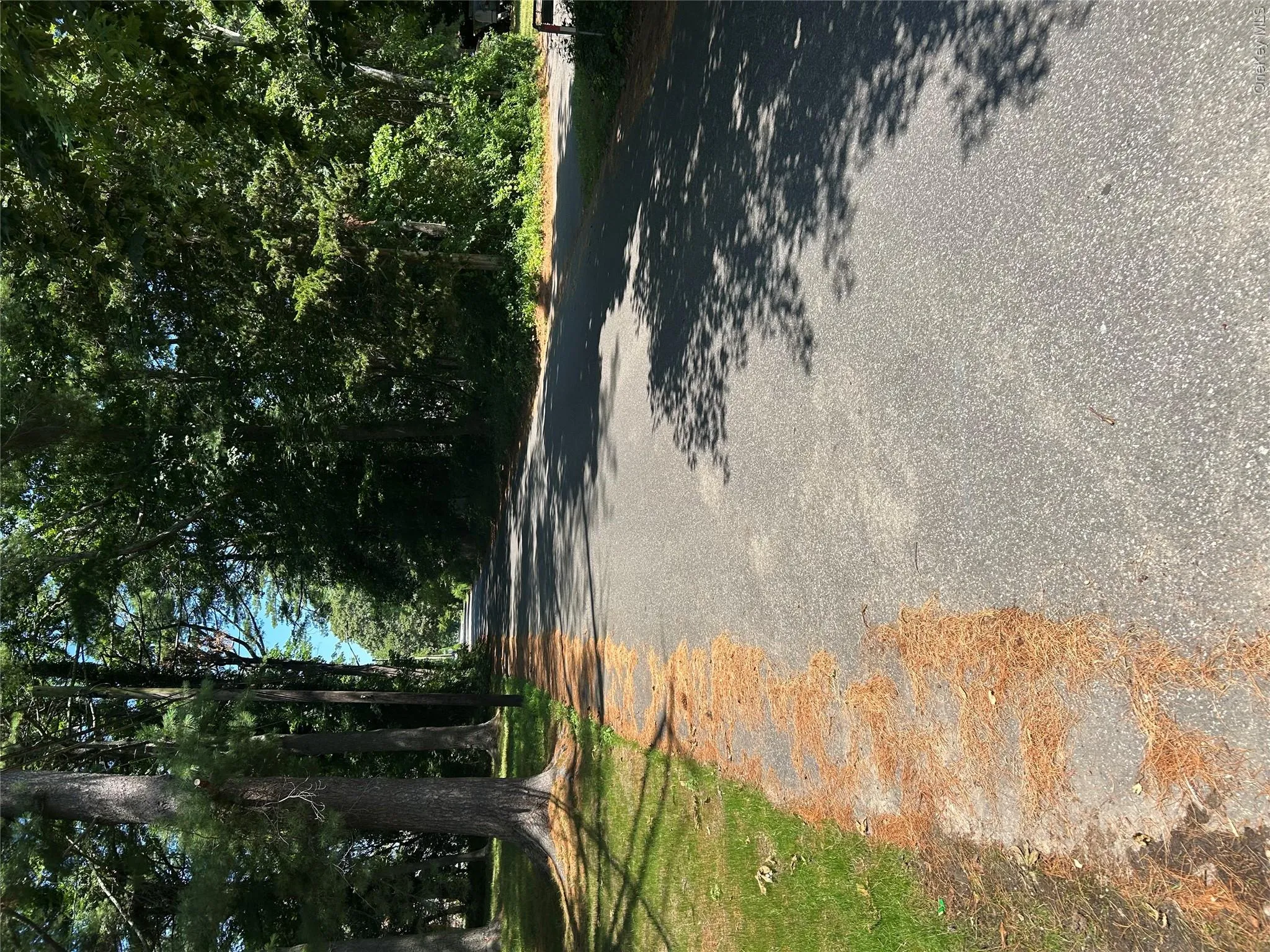 66 Magnolia Drive, Brookhaven, NY, 2 Bedrooms Bedrooms, 5 Rooms Rooms,2 BathroomsBathrooms,Residential Lease,For Rent,Magnolia,0,1025408 66 Magnolia Drive, Brookhaven, NY, 2 Bedrooms Bedrooms, 5 Rooms Rooms,2 BathroomsBathrooms,Residential Lease,For Rent,Magnolia,0,1025408