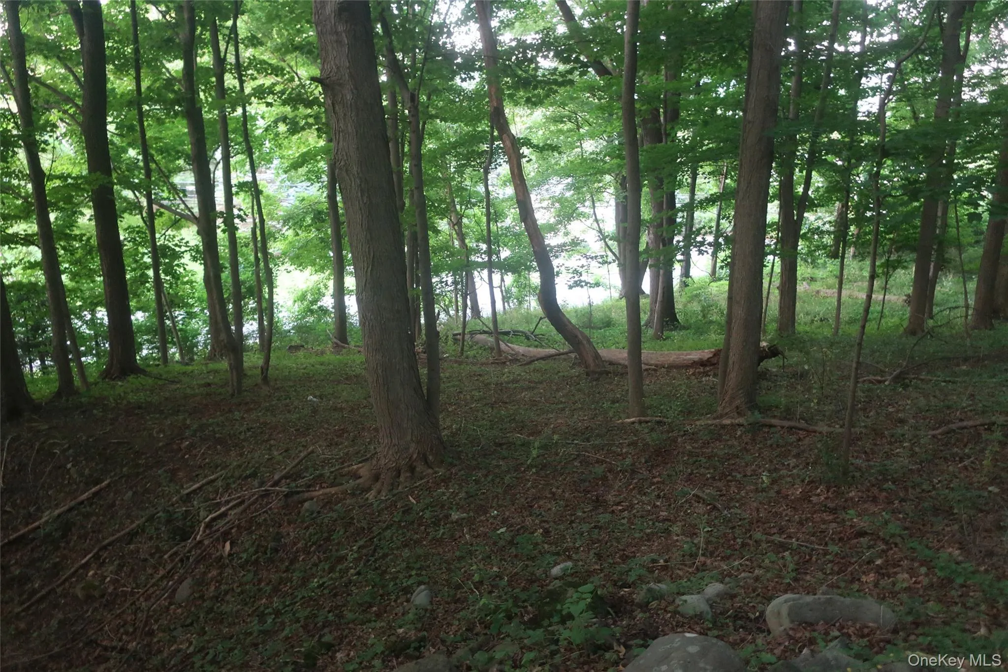 25 Rt-17M, Monroe, NY, ,Land,For Rent,Rt-17M,0,1025418 25 Rt-17M, Monroe, NY, ,Land,For Rent,Rt-17M,0,1025418