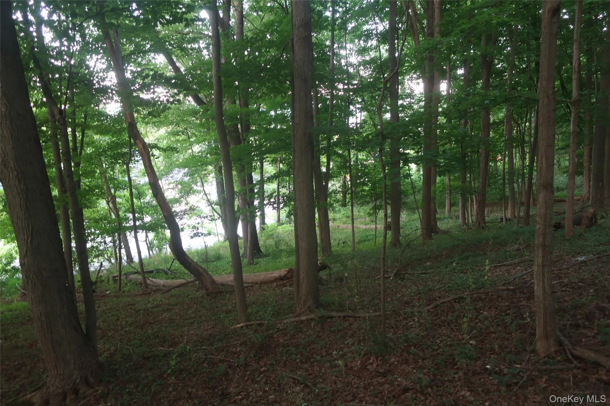 25 Rt-17M, Monroe, NY, ,Land,For Rent,Rt-17M,0,1025418 25 Rt-17M, Monroe, NY, ,Land,For Rent,Rt-17M,0,1025418