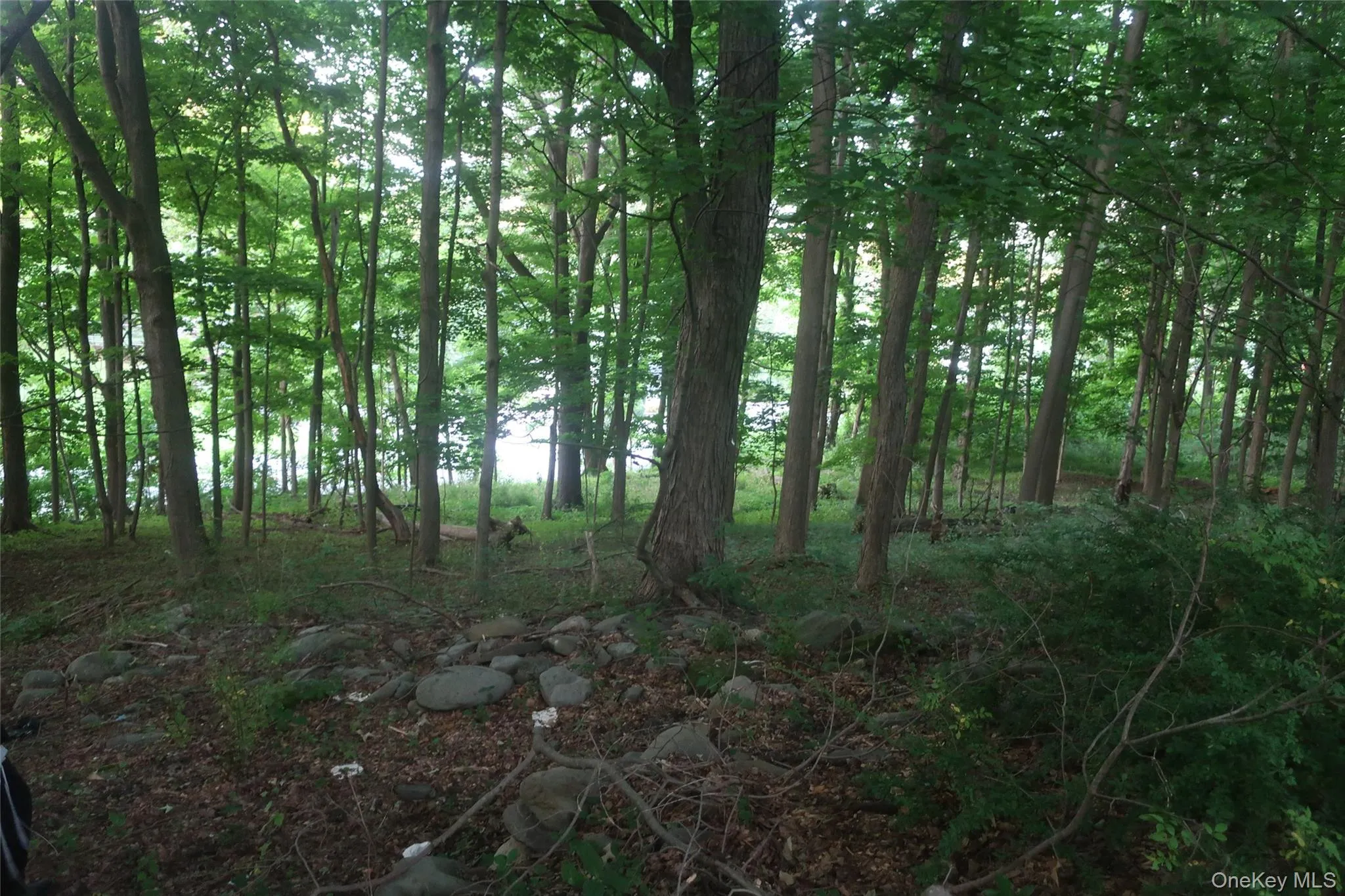 25 Rt-17M, Monroe, NY, ,Land,For Rent,Rt-17M,0,1025418 25 Rt-17M, Monroe, NY, ,Land,For Rent,Rt-17M,0,1025418