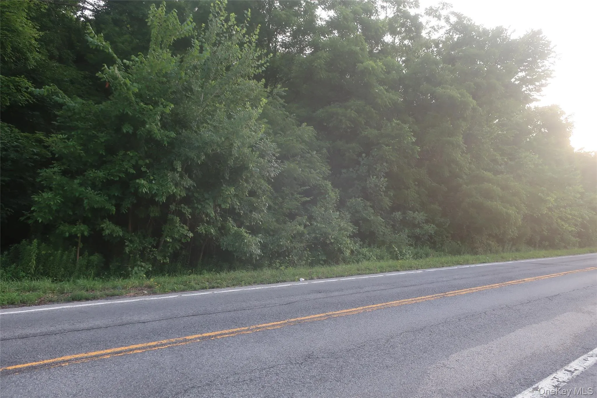 25 Rt-17M, Monroe, NY, ,Land,For Rent,Rt-17M,0,1025418 25 Rt-17M, Monroe, NY, ,Land,For Rent,Rt-17M,0,1025418