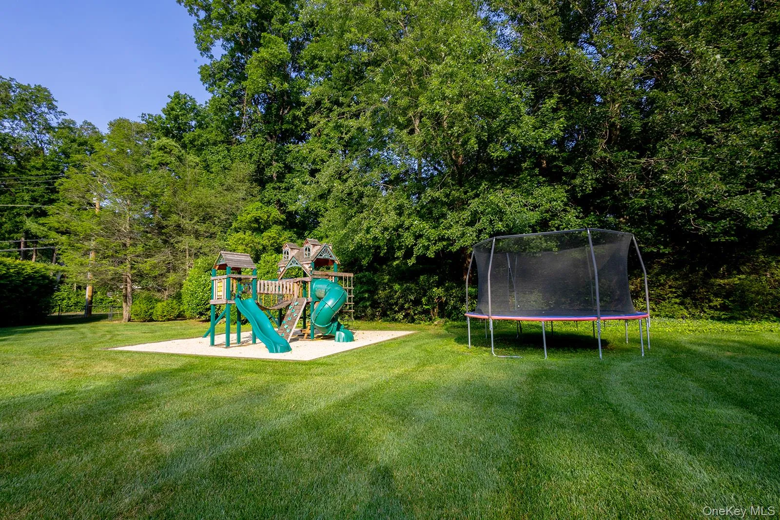 Backyard Backyard