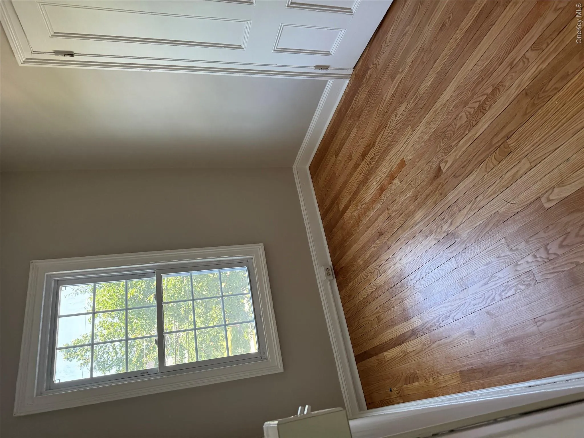24 Oakland Avenue, Warwick (town), NY, 1 Bedroom Bedrooms, 3 Rooms Rooms,1 BathroomBathrooms,Residential Lease,For Rent,Oakland,0,1025473 24 Oakland Avenue, Warwick (town), NY, 1 Bedroom Bedrooms, 3 Rooms Rooms,1 BathroomBathrooms,Residential Lease,For Rent,Oakland,0,1025473