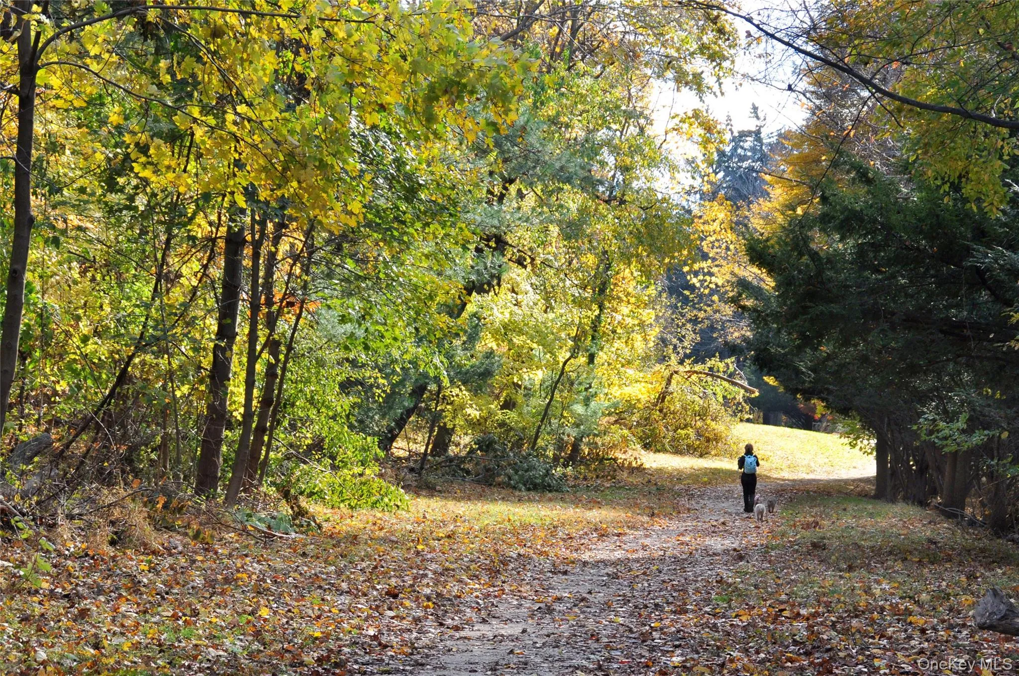 Stroll the Old Croton Aqueduct Trail through the rivertowns! Stroll the Old Croton Aqueduct Trail through the rivertowns!