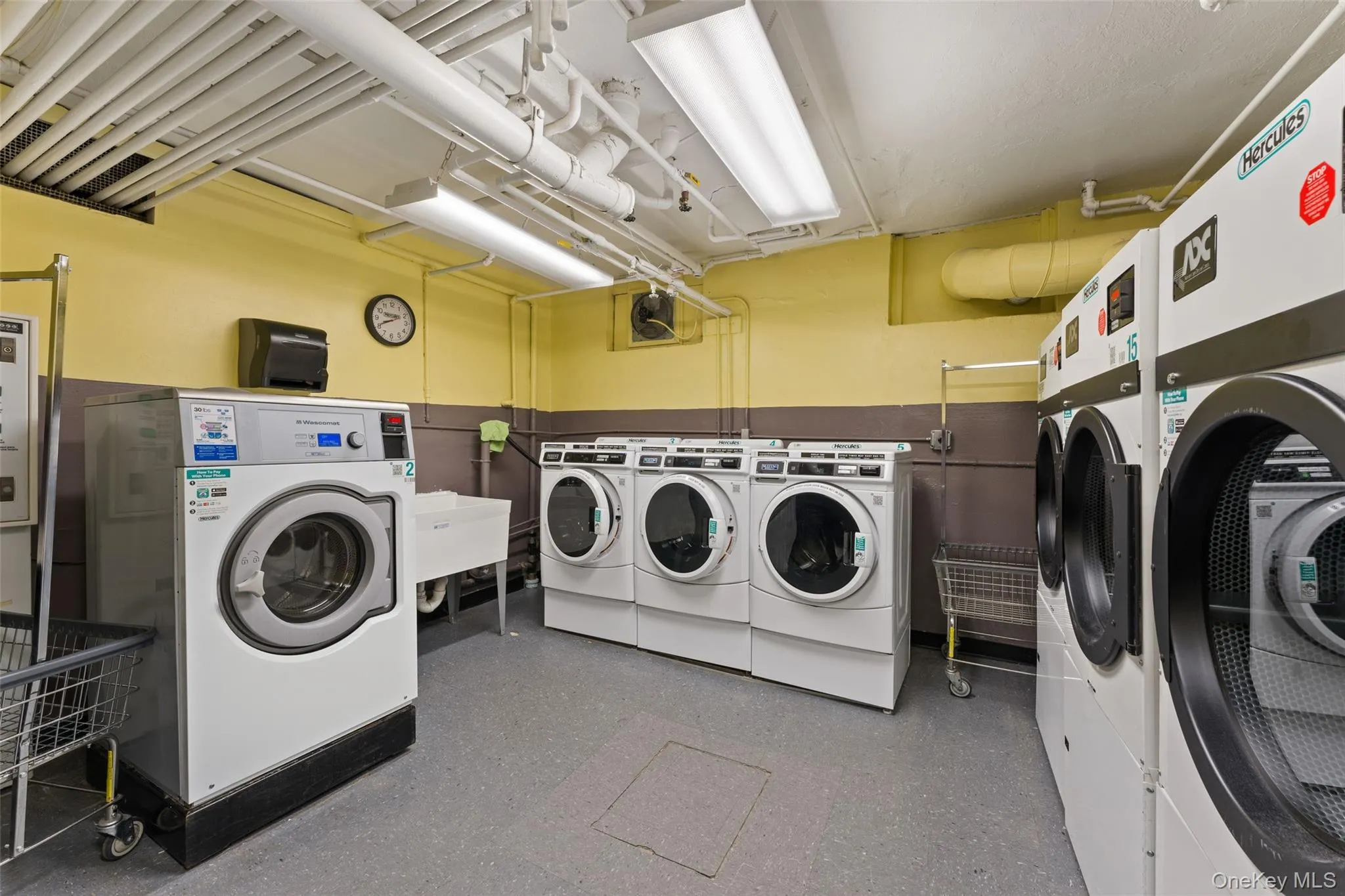 14 Broadway, Greenburgh, NY, 2 Bedrooms Bedrooms, 5 Rooms Rooms,1 BathroomBathrooms,Residential,For Rent,Broadway,0,1025479 14 Broadway, Greenburgh, NY, 2 Bedrooms Bedrooms, 5 Rooms Rooms,1 BathroomBathrooms,Residential,For Rent,Broadway,0,1025479