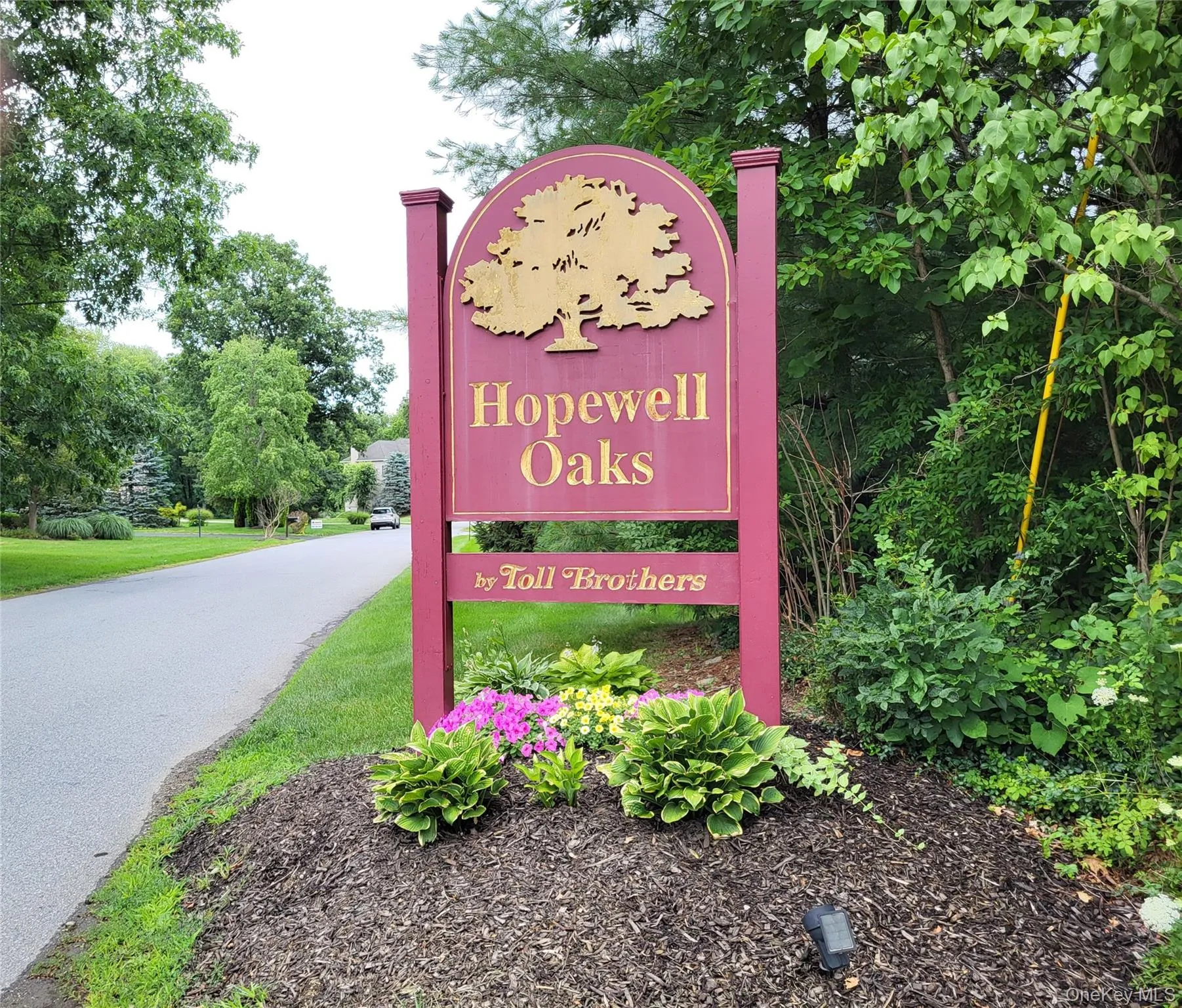 Great Neighborhood, close to everything Great Neighborhood, close to everything