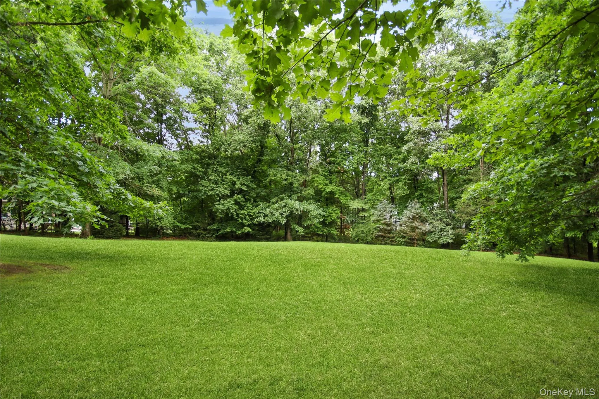 Great private backyard Great private backyard