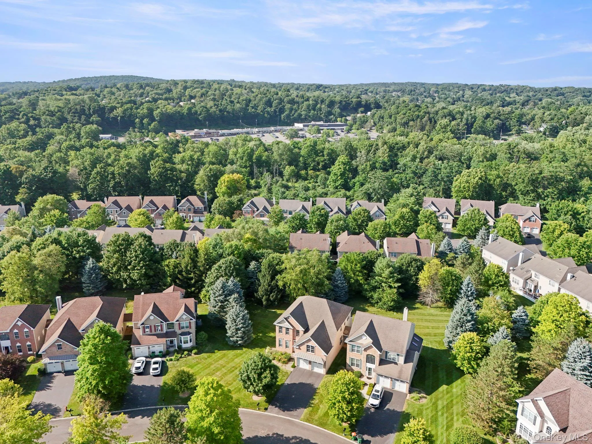 421 Vassar Place, Fishkill, NY, 4 Bedrooms Bedrooms, 9 Rooms Rooms,2 BathroomsBathrooms,Residential,For Rent,Vassar,0,1025492 421 Vassar Place, Fishkill, NY, 4 Bedrooms Bedrooms, 9 Rooms Rooms,2 BathroomsBathrooms,Residential,For Rent,Vassar,0,1025492