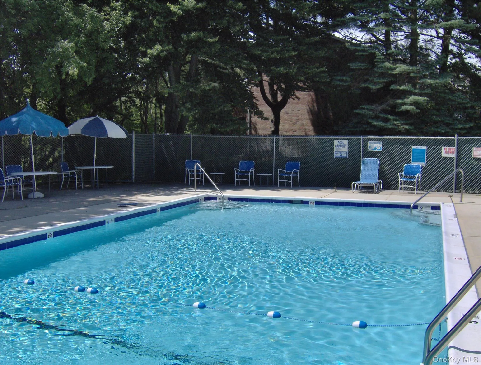 40-218 4th Street, Brookhaven, NY, 1 Bedroom Bedrooms, 3 Rooms Rooms,1 BathroomBathrooms,Residential,For Rent,4th,0,1025498 40-218 4th Street, Brookhaven, NY, 1 Bedroom Bedrooms, 3 Rooms Rooms,1 BathroomBathrooms,Residential,For Rent,4th,0,1025498