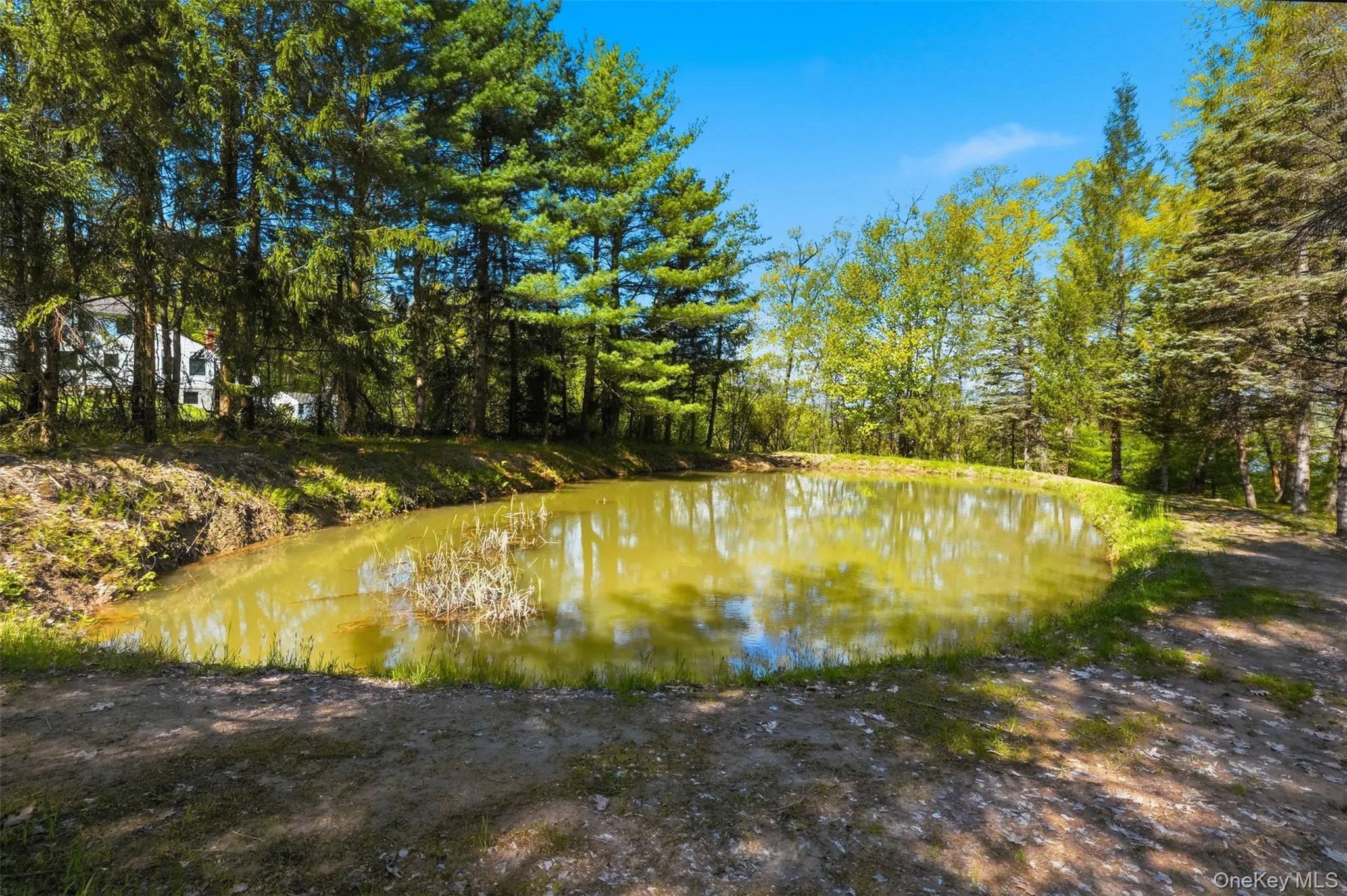 32 Sunset Circle, Germantown, NY, 5 Bedrooms Bedrooms, 10 Rooms Rooms,3 BathroomsBathrooms,Residential,For Rent,Sunset,0,1025502 32 Sunset Circle, Germantown, NY, 5 Bedrooms Bedrooms, 10 Rooms Rooms,3 BathroomsBathrooms,Residential,For Rent,Sunset,0,1025502
