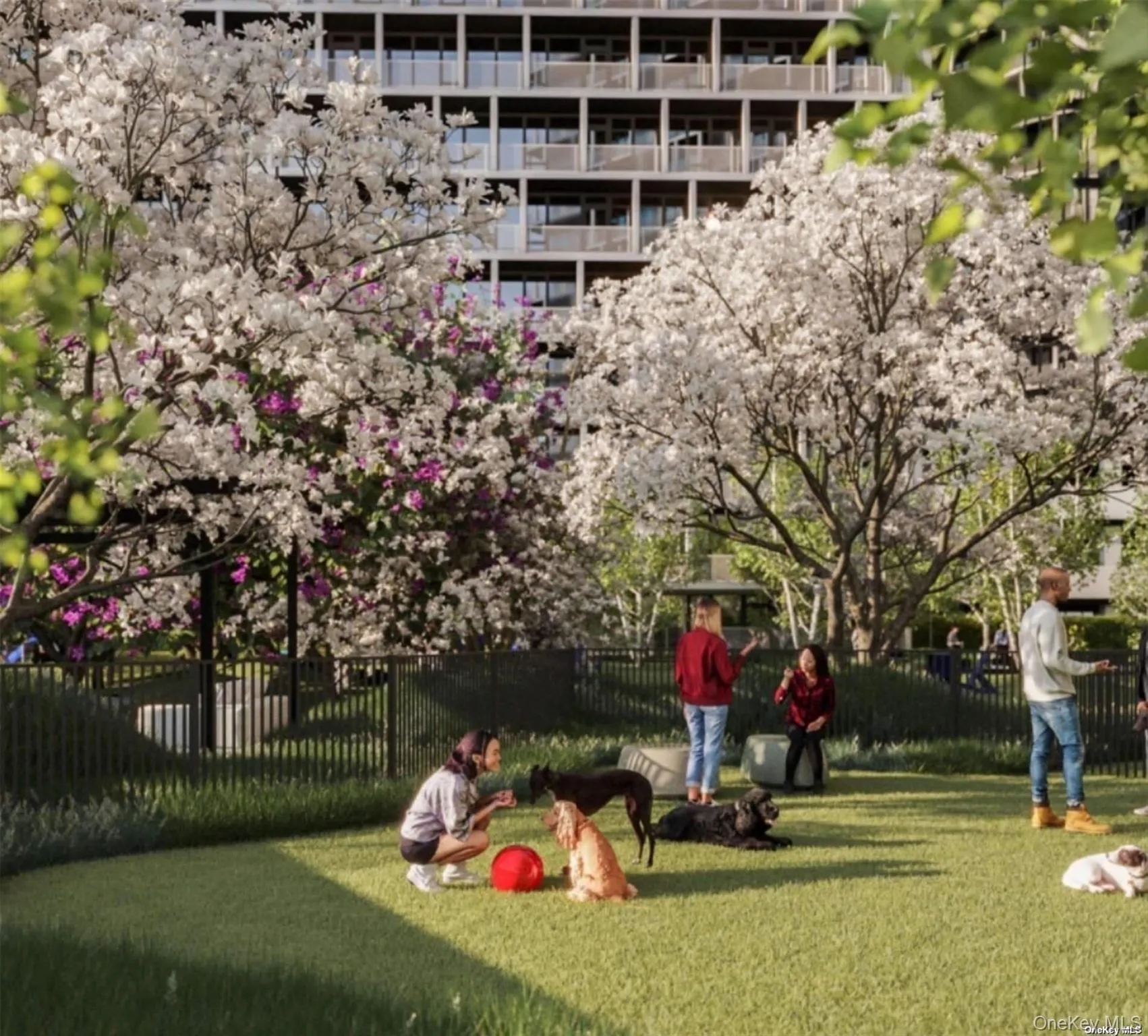 13102A 40th Road, New York, NY, 1 Bedroom Bedrooms, 3 Rooms Rooms,1 BathroomBathrooms,Residential,For Rent,40th,0,1025505 13102A 40th Road, New York, NY, 1 Bedroom Bedrooms, 3 Rooms Rooms,1 BathroomBathrooms,Residential,For Rent,40th,0,1025505