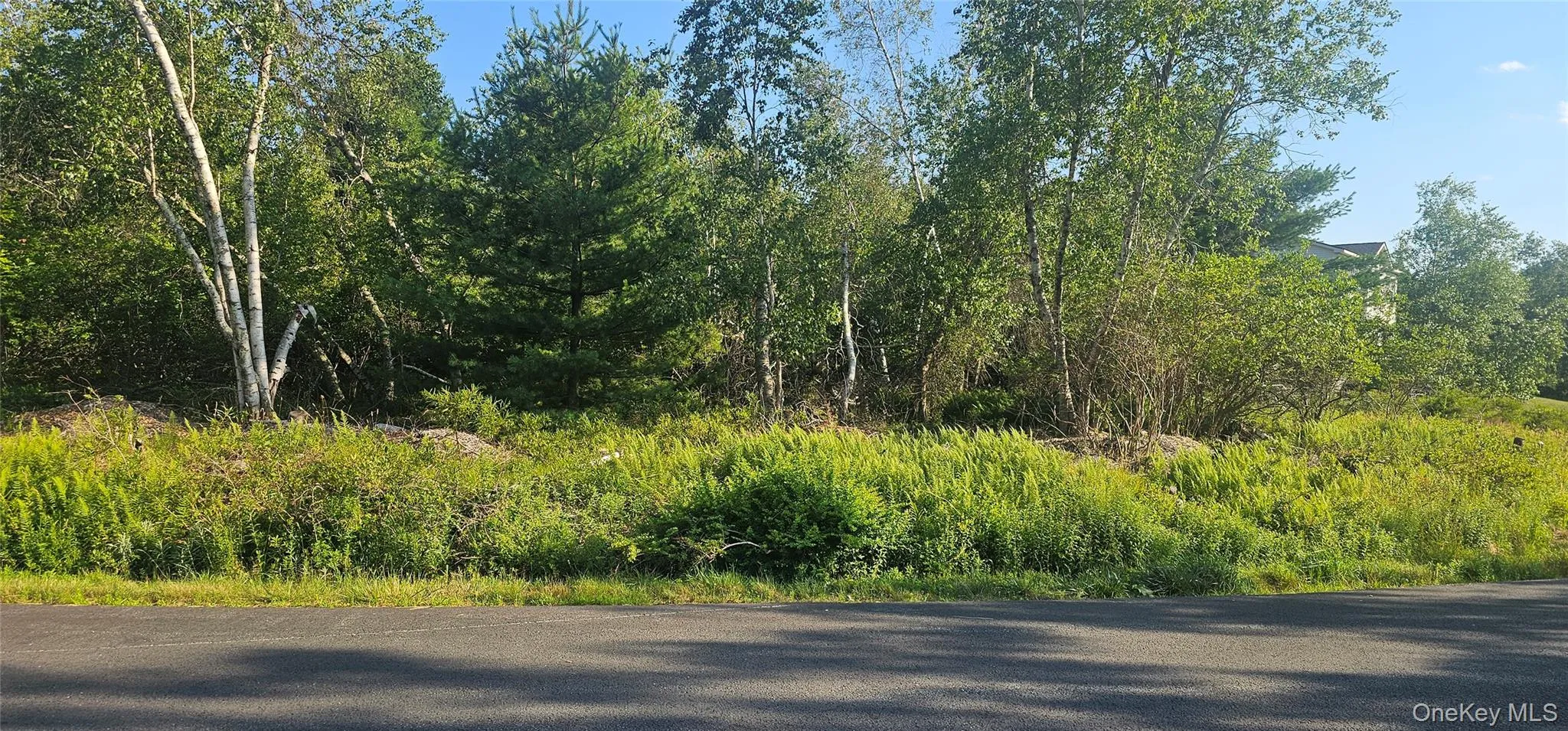 Club Lane, Thompson, NY, ,Land,For Rent,Club,0,1025579 Club Lane, Thompson, NY, ,Land,For Rent,Club,0,1025579