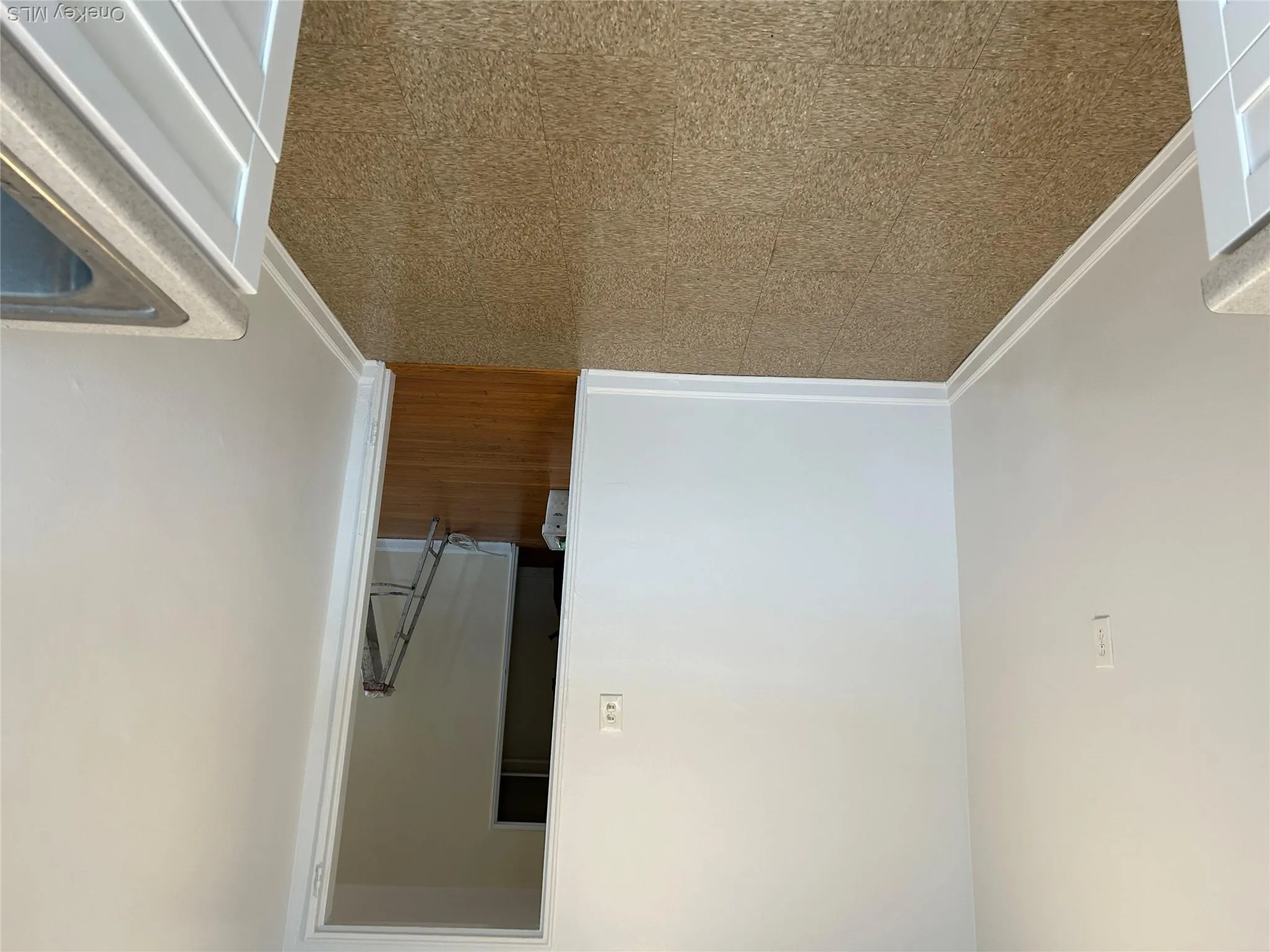 25 Dolphin Green, North Hempstead, NY, 1 Bedroom Bedrooms, 3 Rooms Rooms,1 BathroomBathrooms,Residential Lease,For Rent,Dolphin Green,0,1025596 25 Dolphin Green, North Hempstead, NY, 1 Bedroom Bedrooms, 3 Rooms Rooms,1 BathroomBathrooms,Residential Lease,For Rent,Dolphin Green,0,1025596