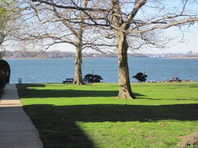25 Dolphin Green, North Hempstead, NY, 1 Bedroom Bedrooms, 3 Rooms Rooms,1 BathroomBathrooms,Residential Lease,For Rent,Dolphin Green,0,1025596 25 Dolphin Green, North Hempstead, NY, 1 Bedroom Bedrooms, 3 Rooms Rooms,1 BathroomBathrooms,Residential Lease,For Rent,Dolphin Green,0,1025596