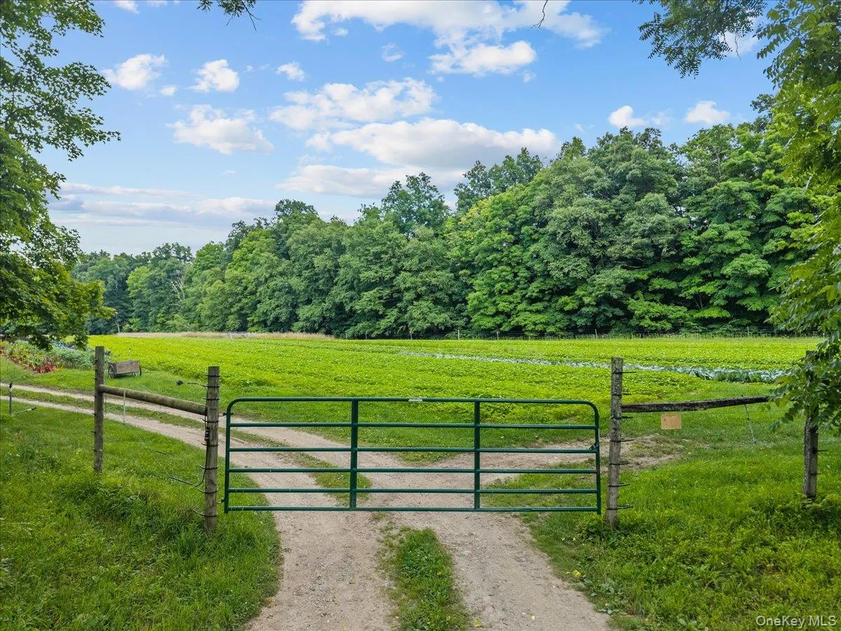 123-179 Sisters Hill Road, Stanford, NY, 12 Bedrooms Bedrooms, 20 Rooms Rooms,6 BathroomsBathrooms,Residential,For Rent,Sisters Hill,0,1025626 123-179 Sisters Hill Road, Stanford, NY, 12 Bedrooms Bedrooms, 20 Rooms Rooms,6 BathroomsBathrooms,Residential,For Rent,Sisters Hill,0,1025626