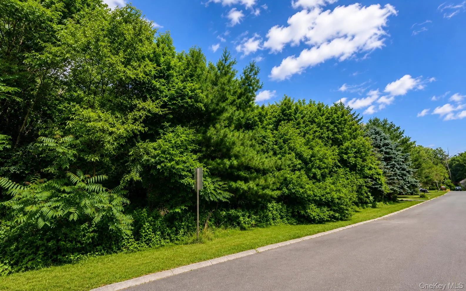 Patricia Drive, Pleasant Valley, NY, ,Land,For Rent,Patricia,0,1025644 Patricia Drive, Pleasant Valley, NY, ,Land,For Rent,Patricia,0,1025644