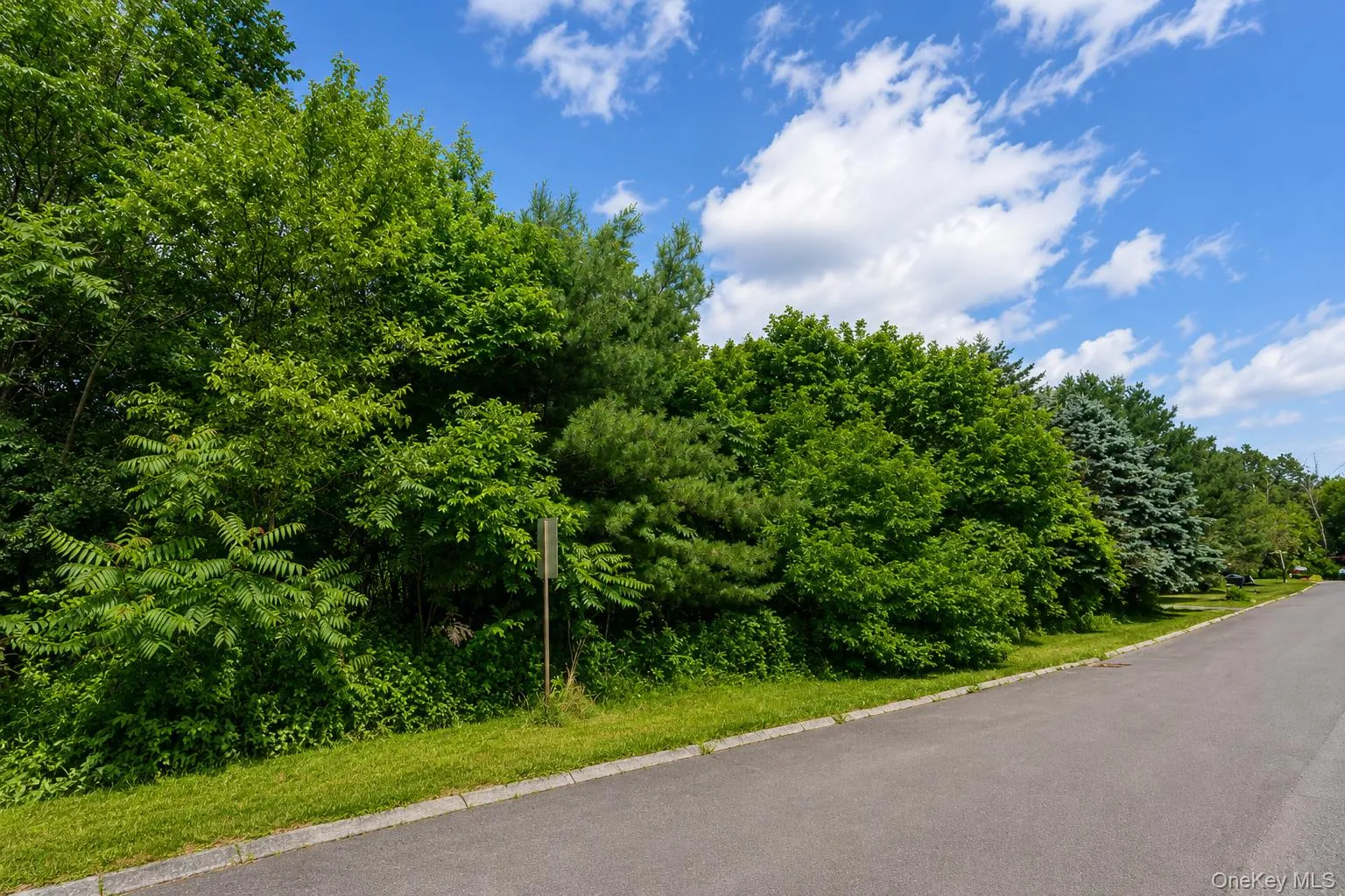 Patricia Drive, Pleasant Valley, NY, ,Land,For Rent,Patricia,0,1025644 Patricia Drive, Pleasant Valley, NY, ,Land,For Rent,Patricia,0,1025644